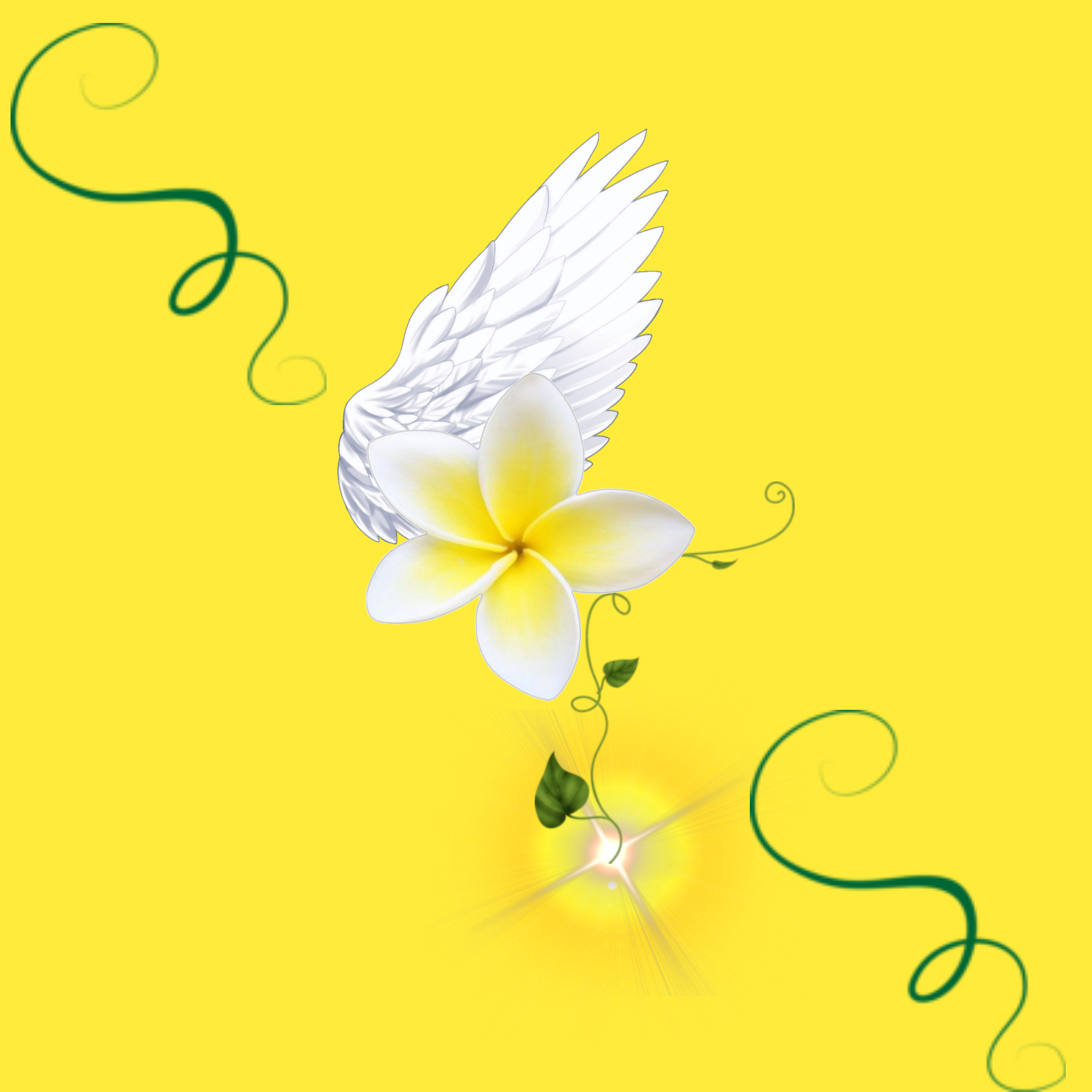 ASHANTI ASHANTAY OHEEMA ( Malcolm X 1962 SPEECH EDITION ) artwork