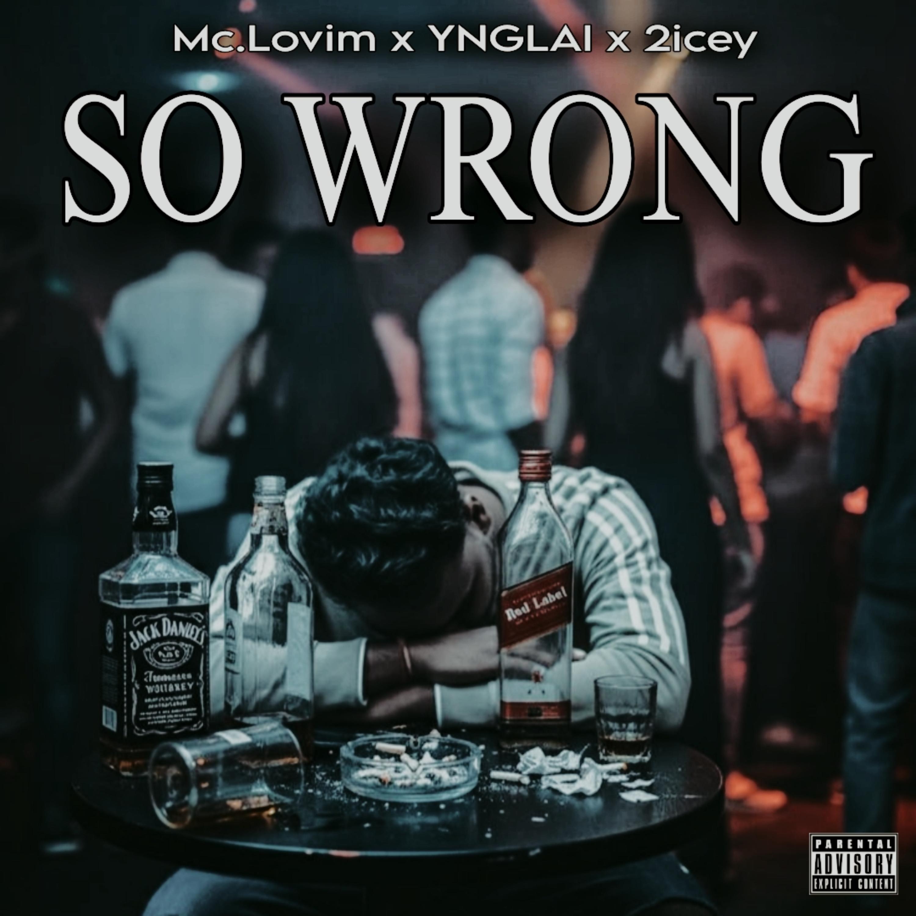 SO WRONG artwork