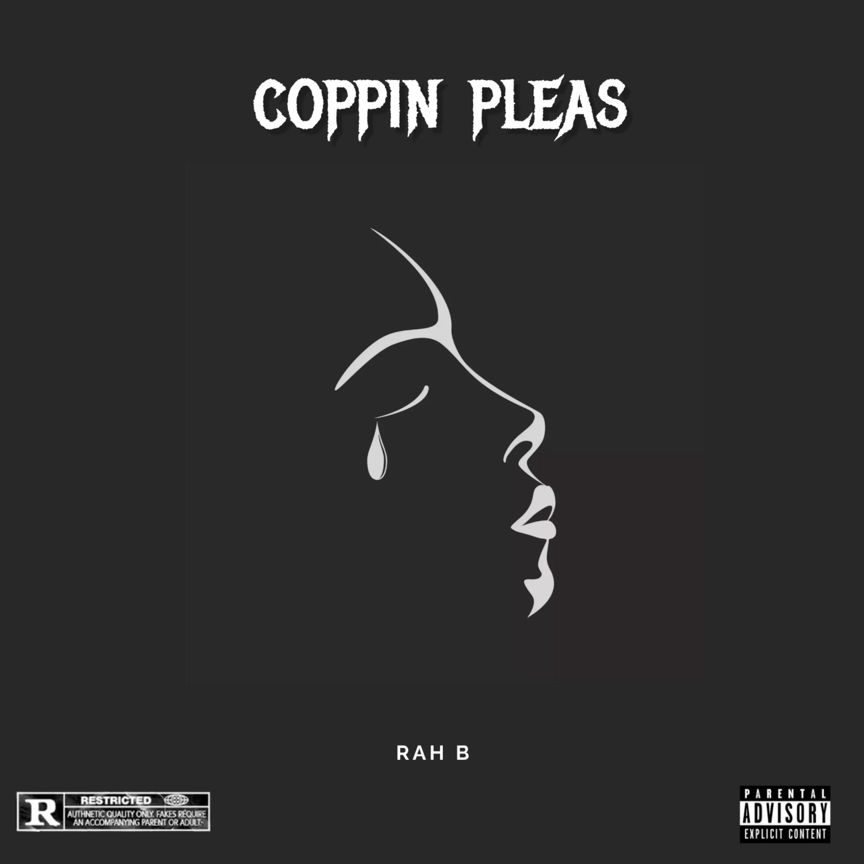 Coppin Pleas artwork
