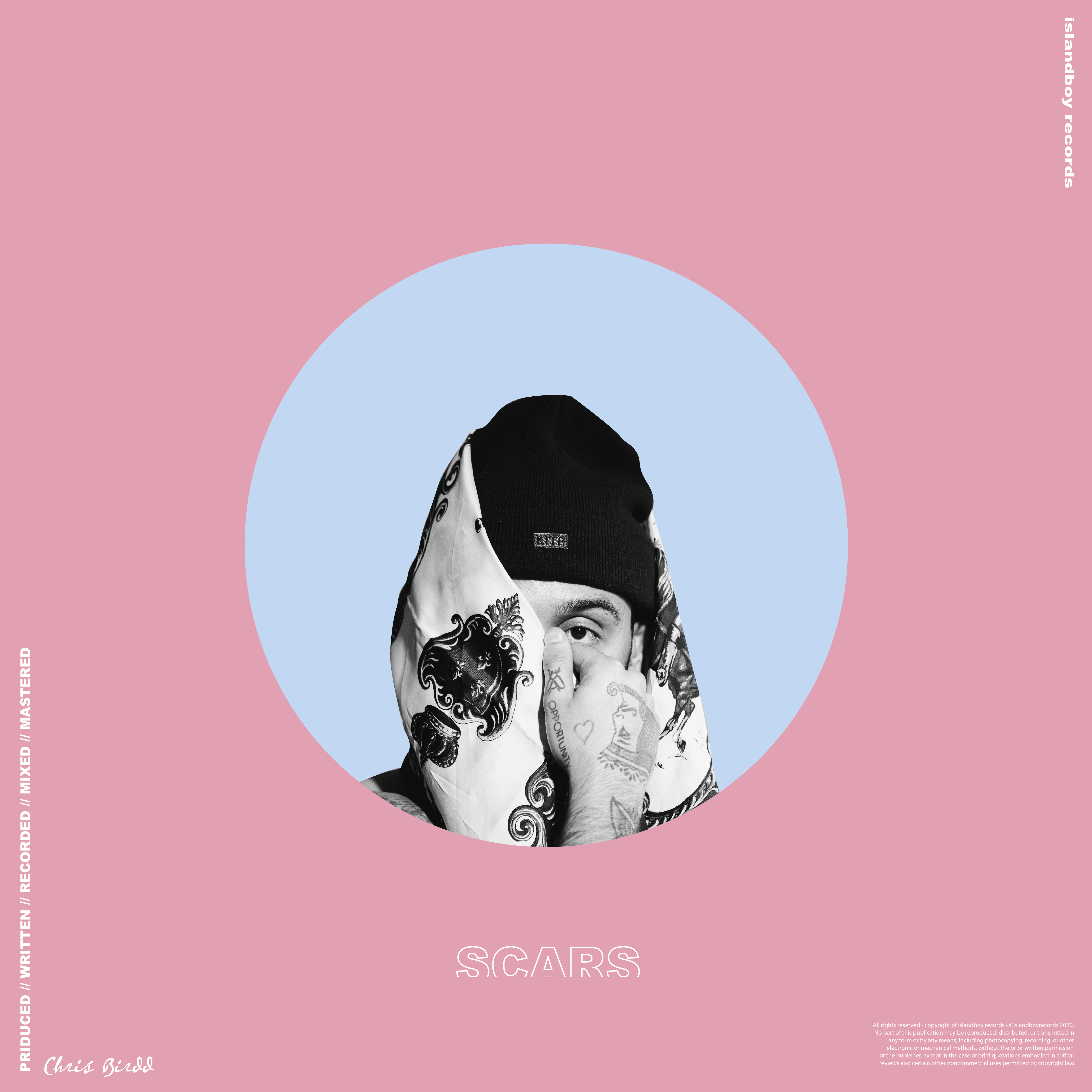 Scars artwork