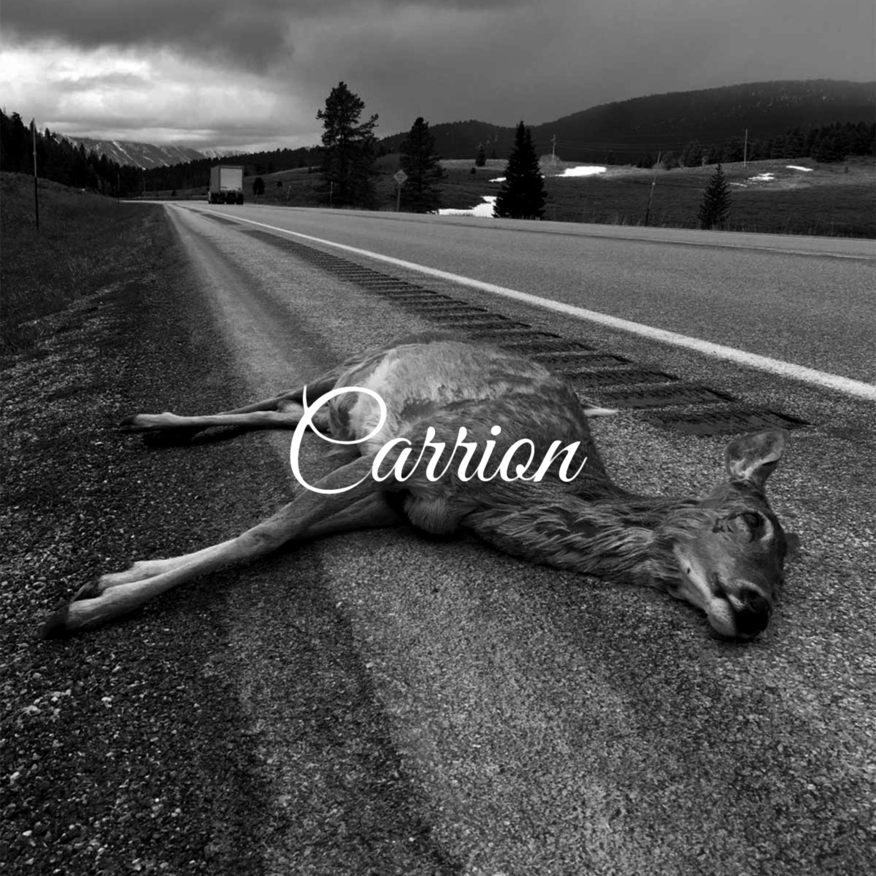 CARRION artwork