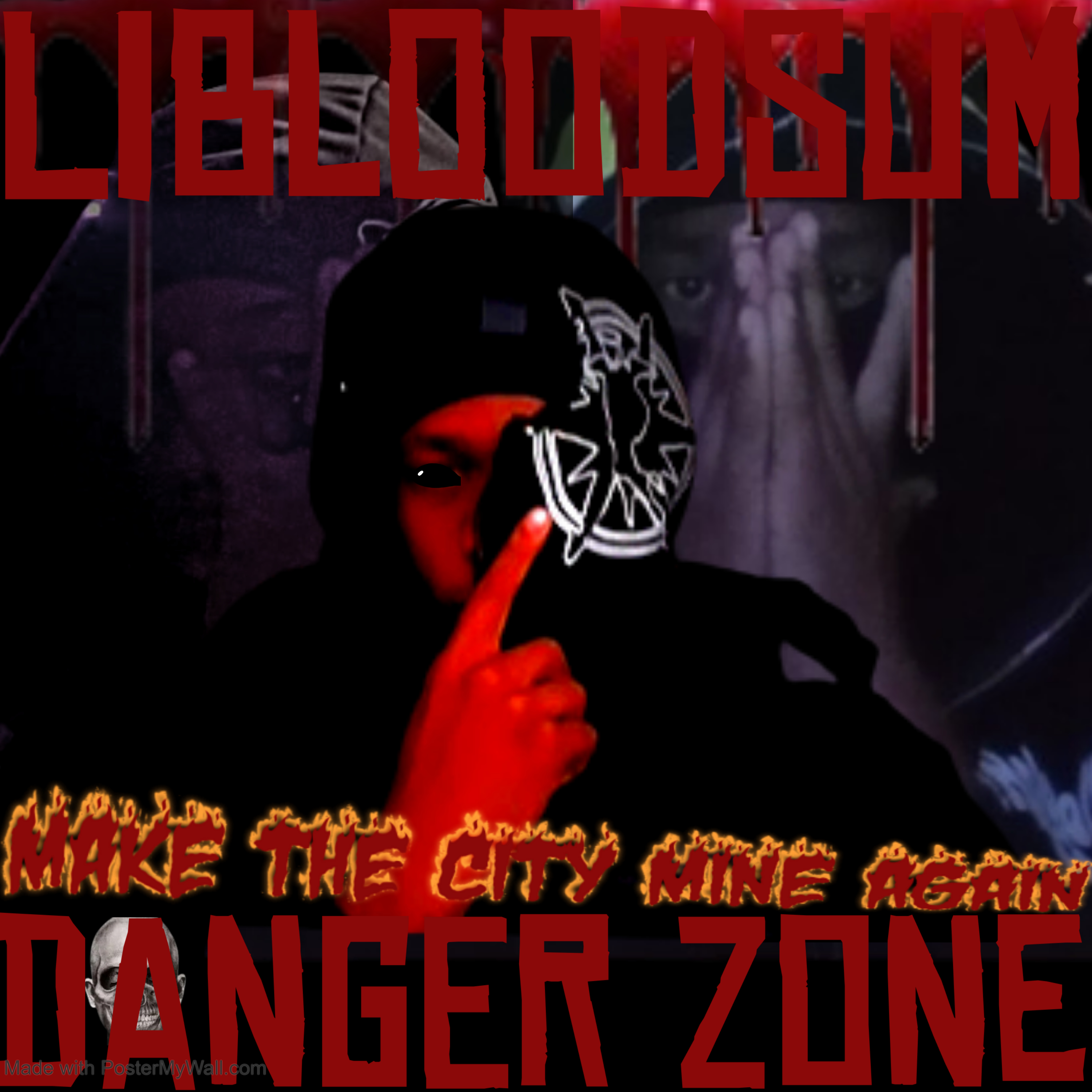 Danger Zone artwork