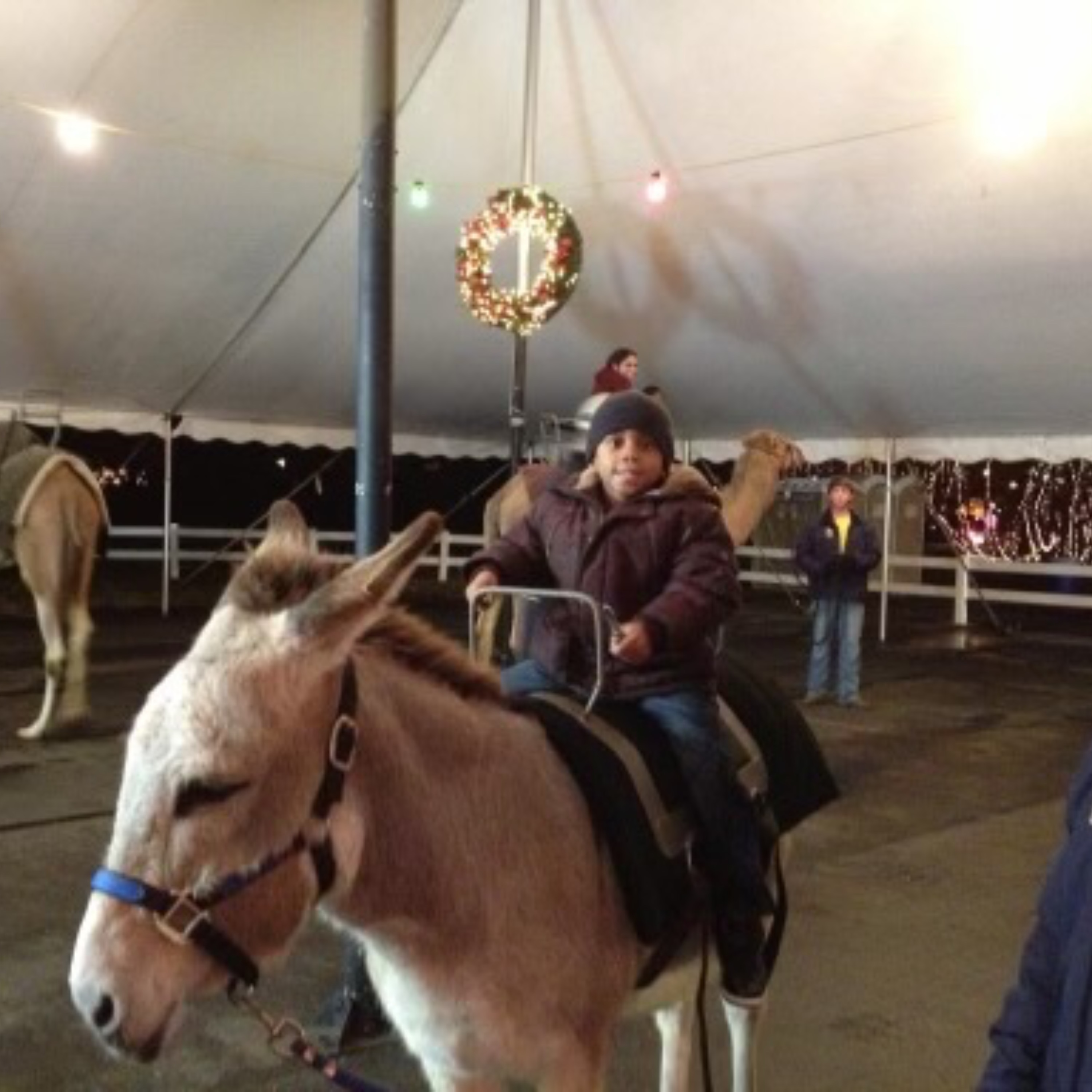 Problem Child artwork