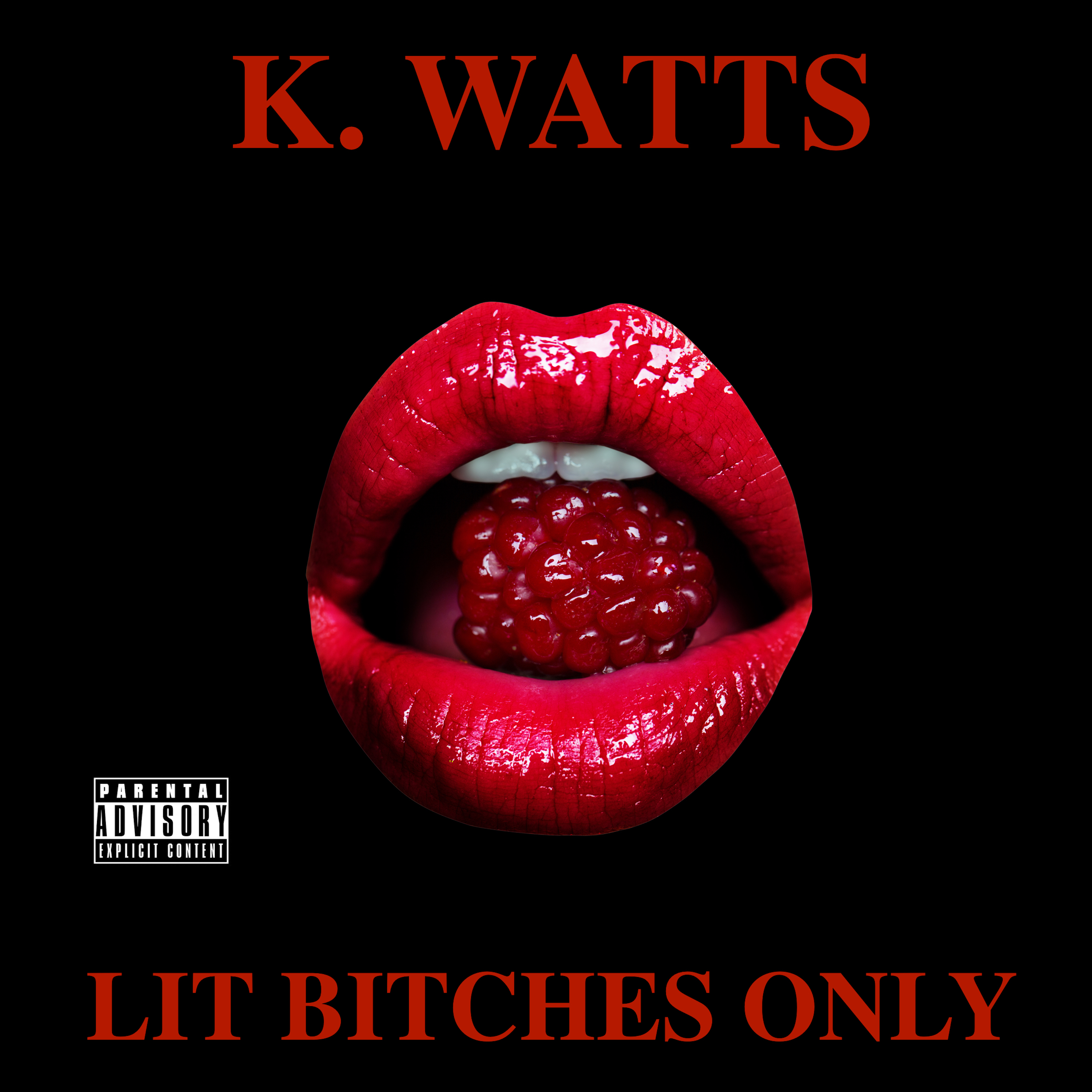 Lit Bitches Only artwork