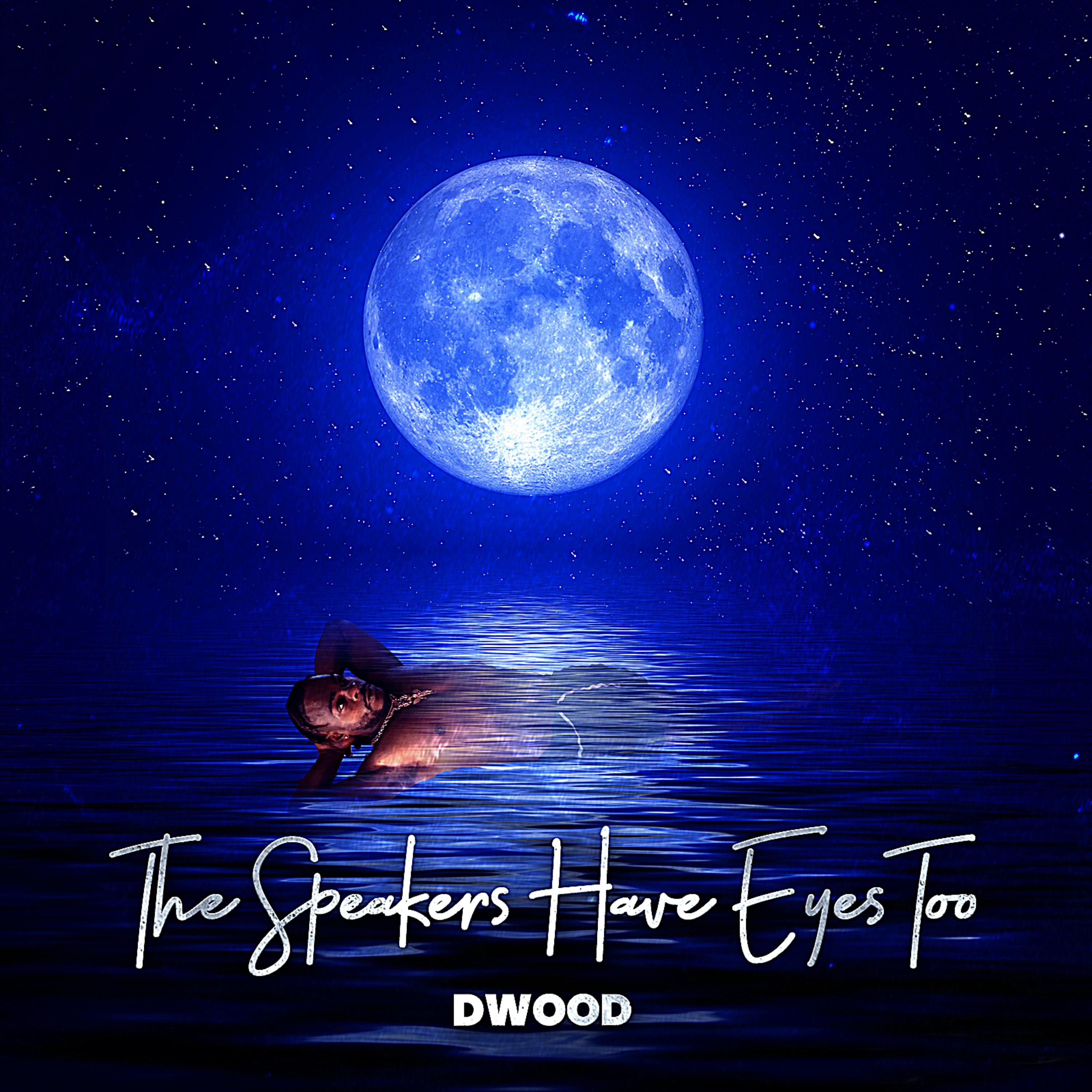 Speakers Have Eyes Too artwork