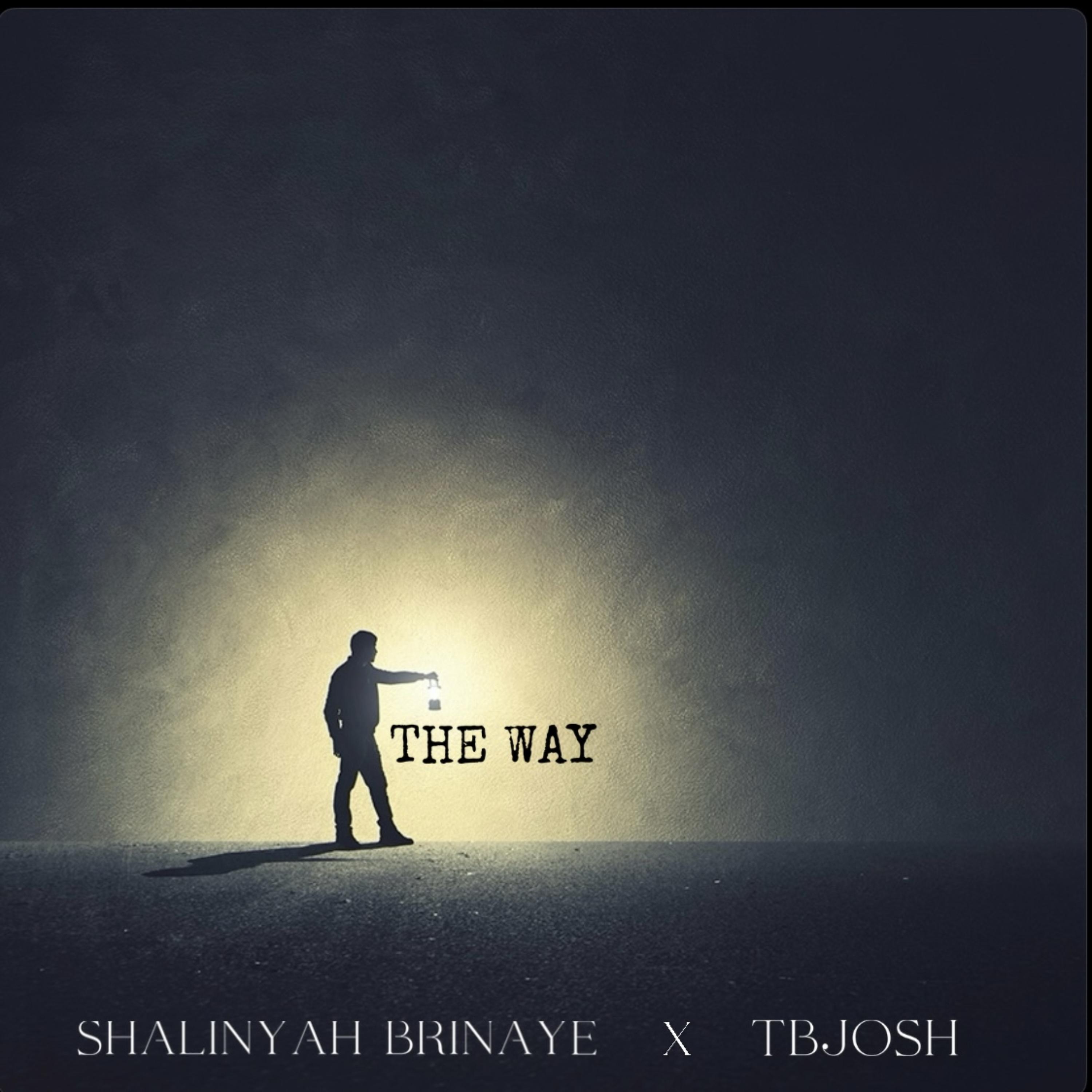 The Way by TBJosh cover art