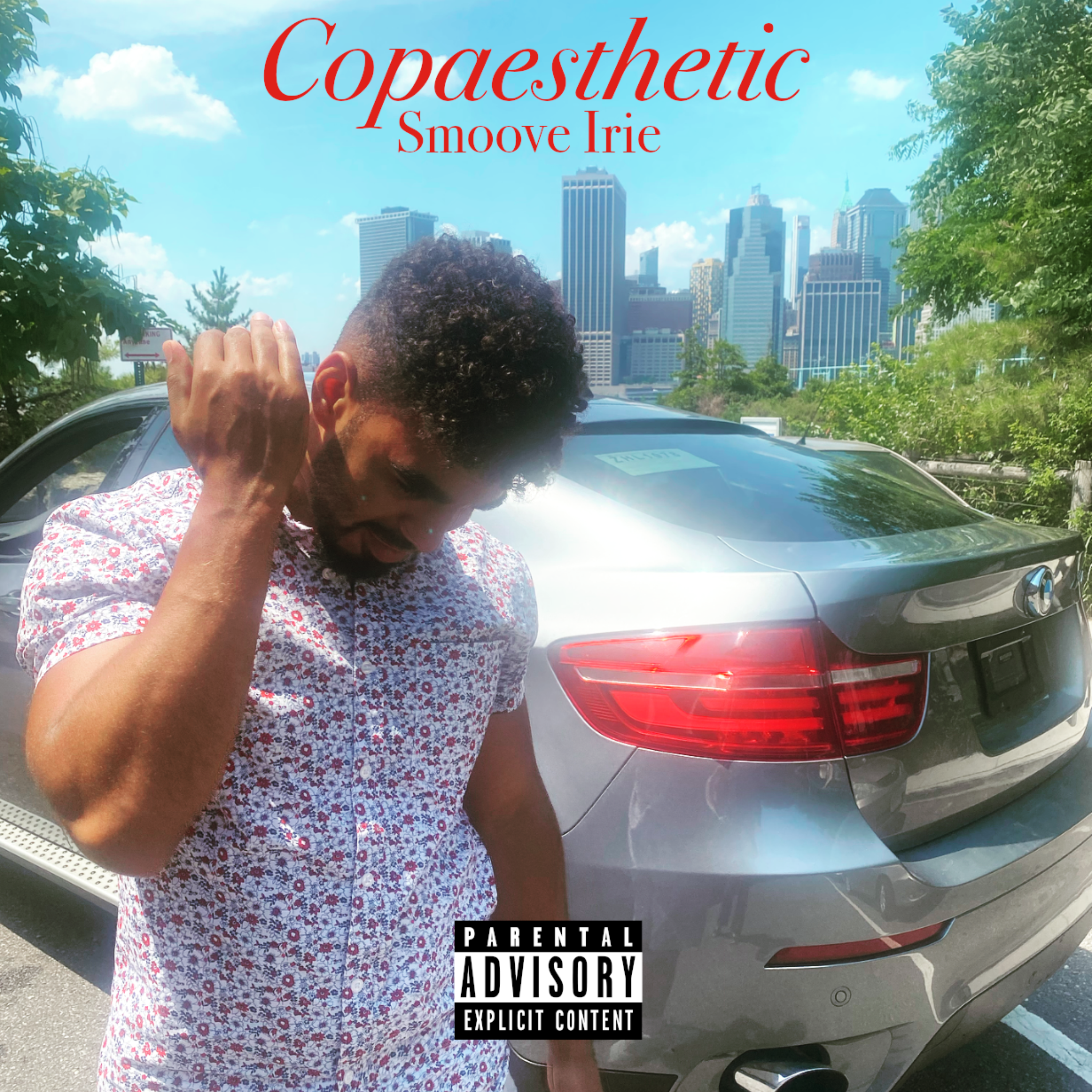 Copaesthetic by Smoove Irie cover art