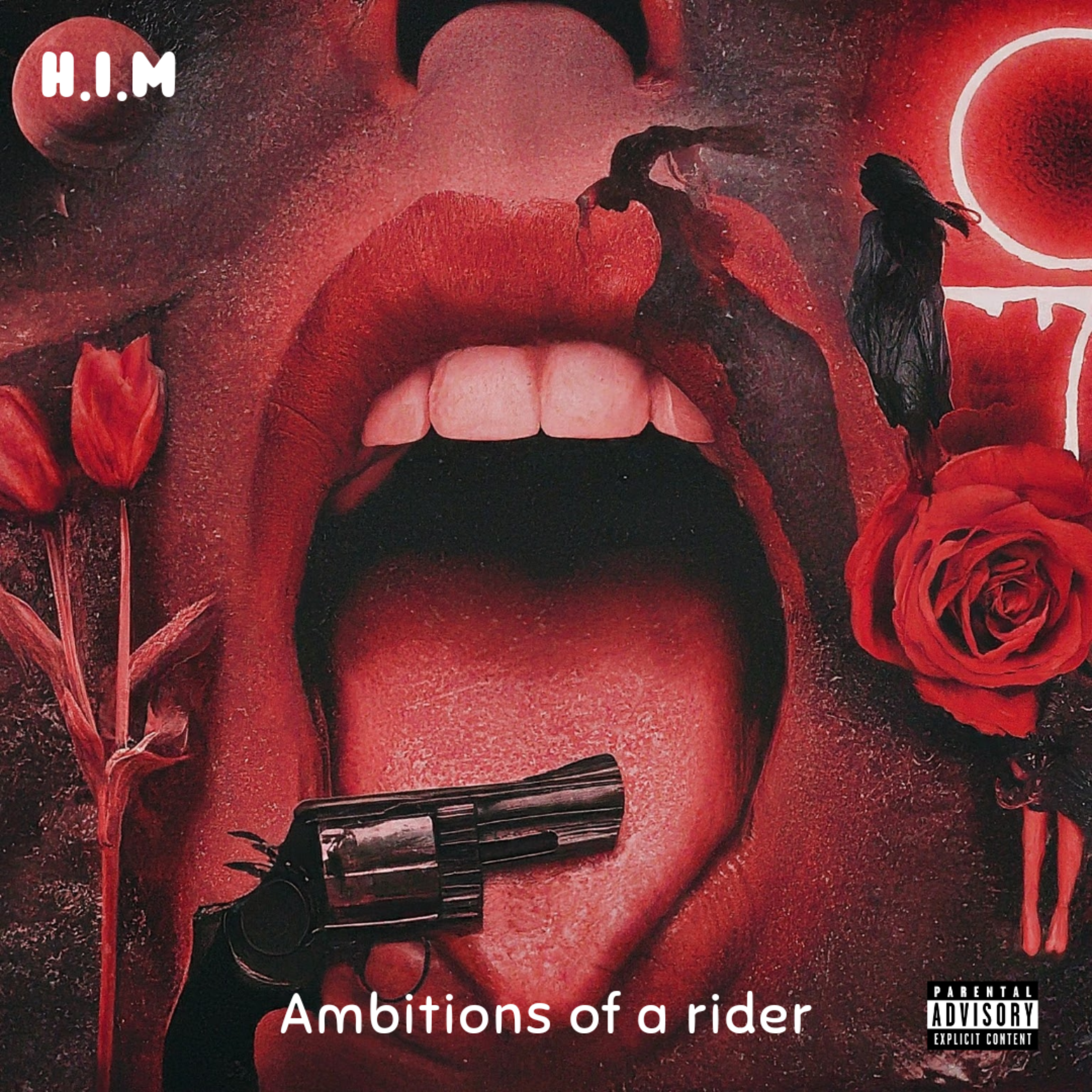 Ambitions Of A Rider artwork