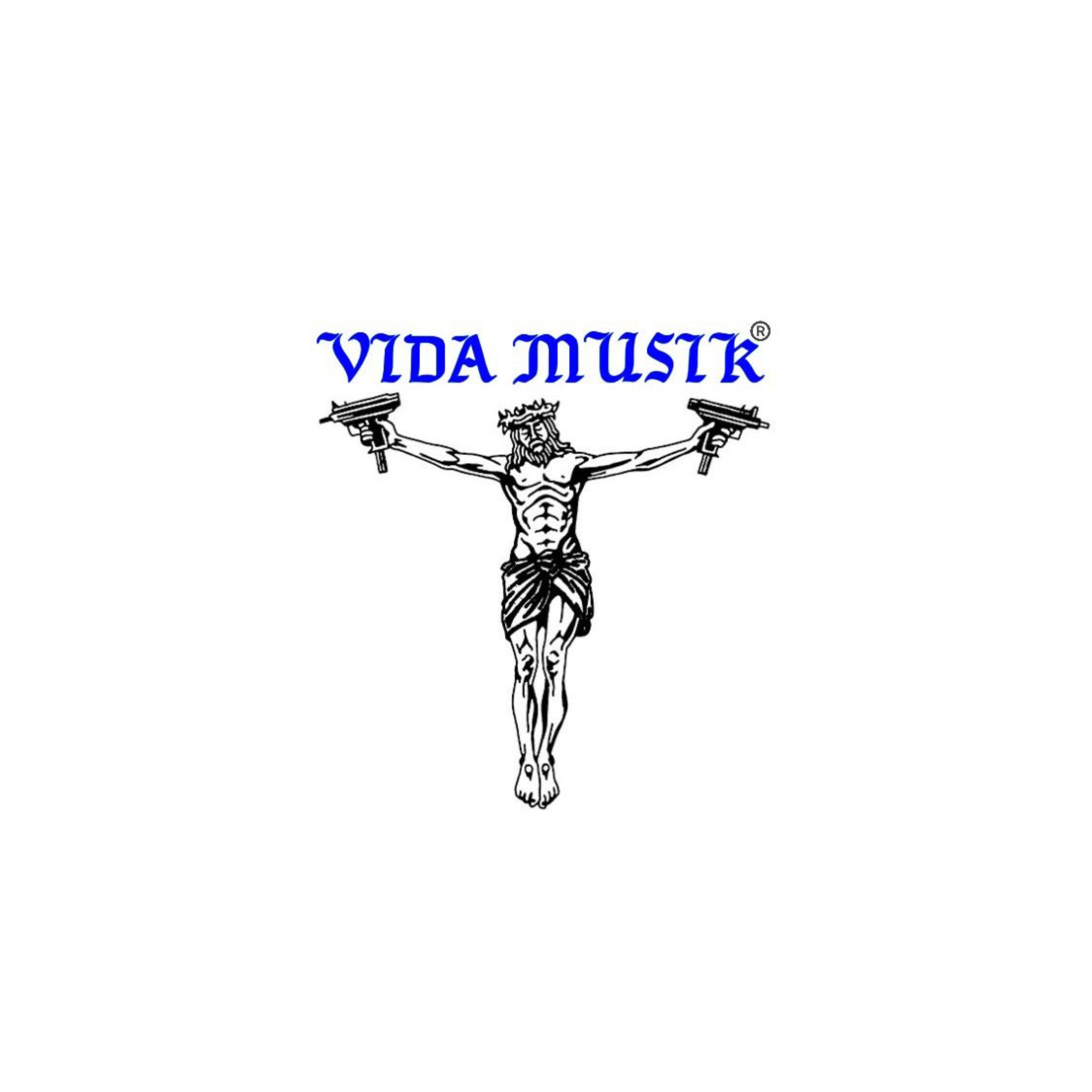 VIDA MUSIK artwork
