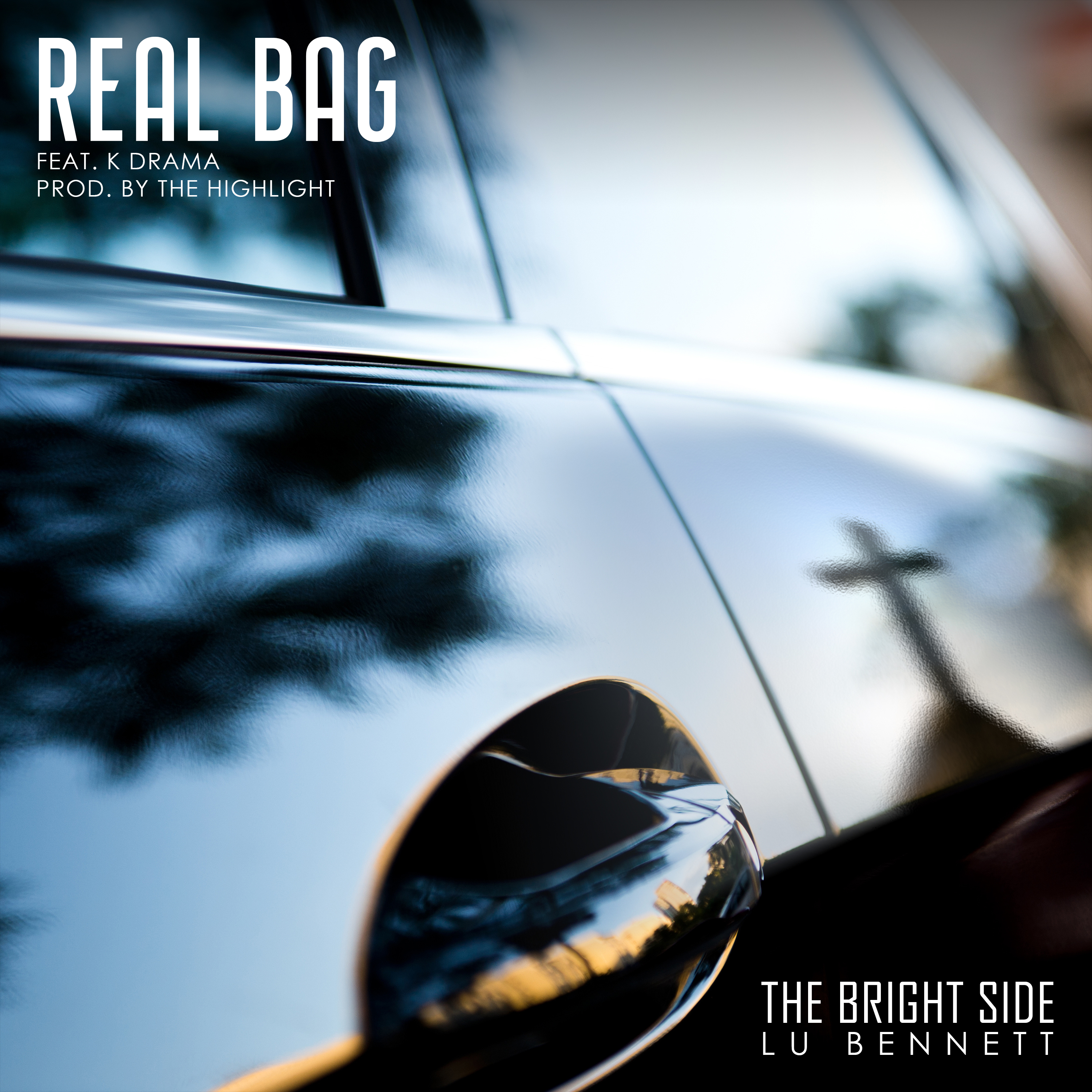 Real Bag by Lu Bennett cover art