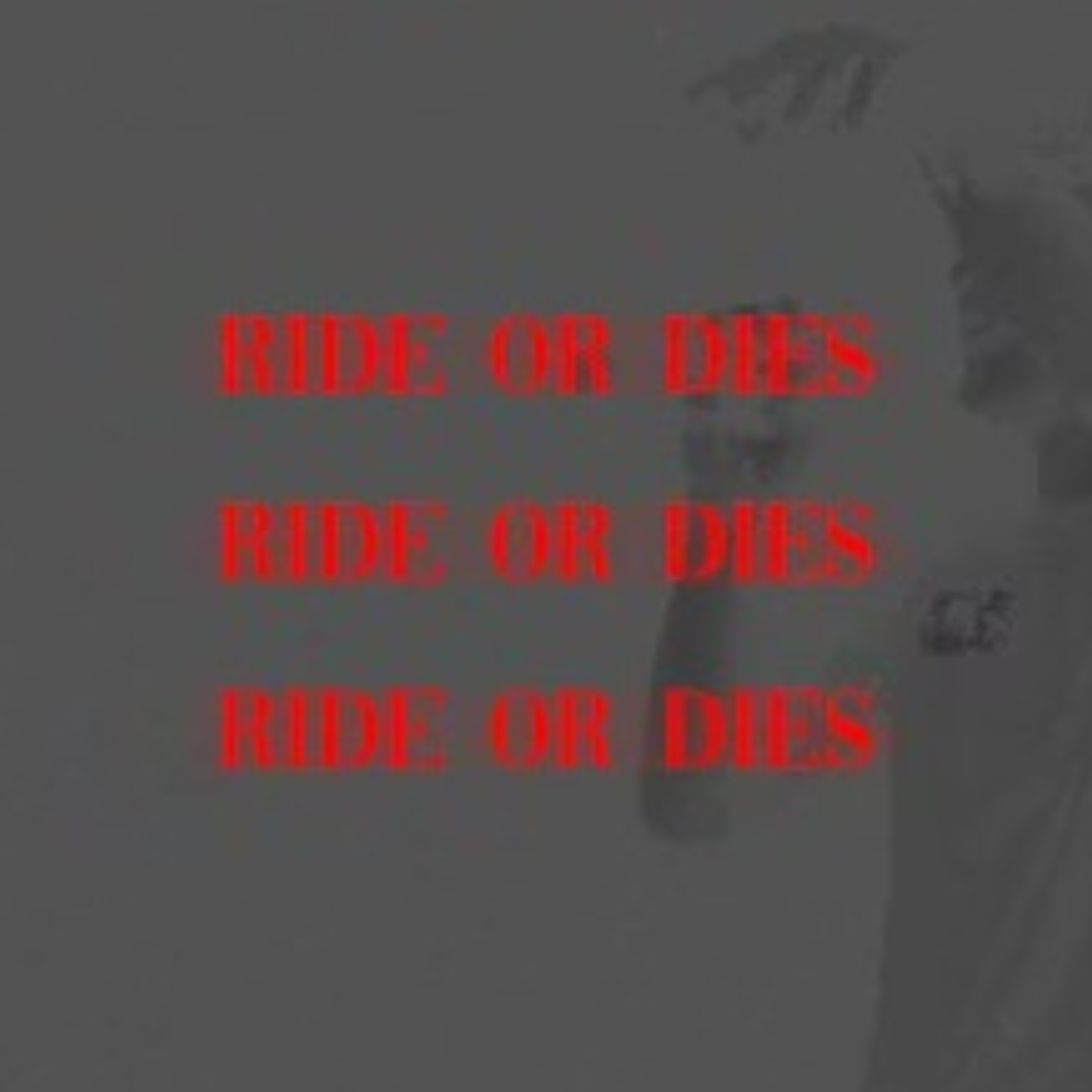 Ride or Dies artwork