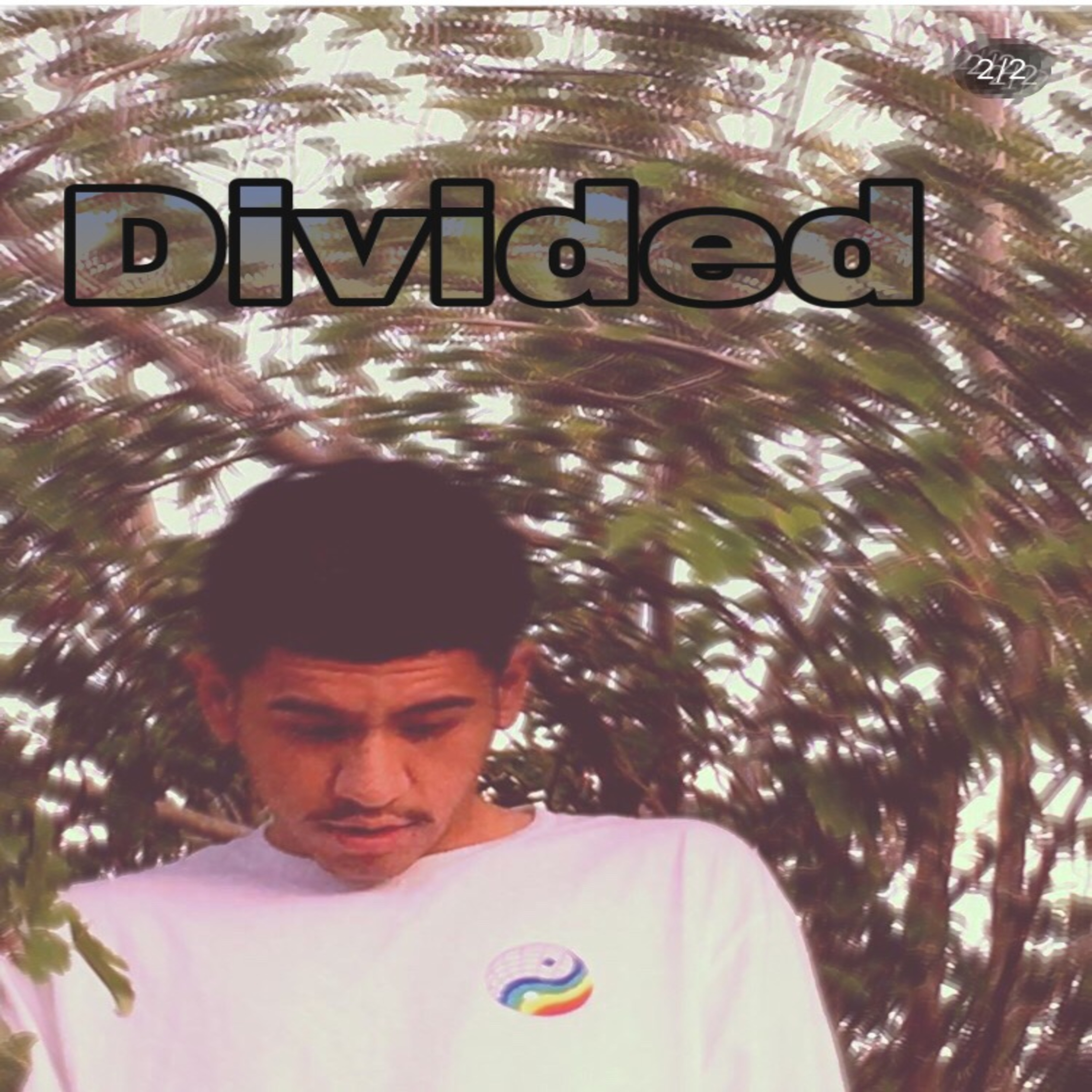 Divided artwork