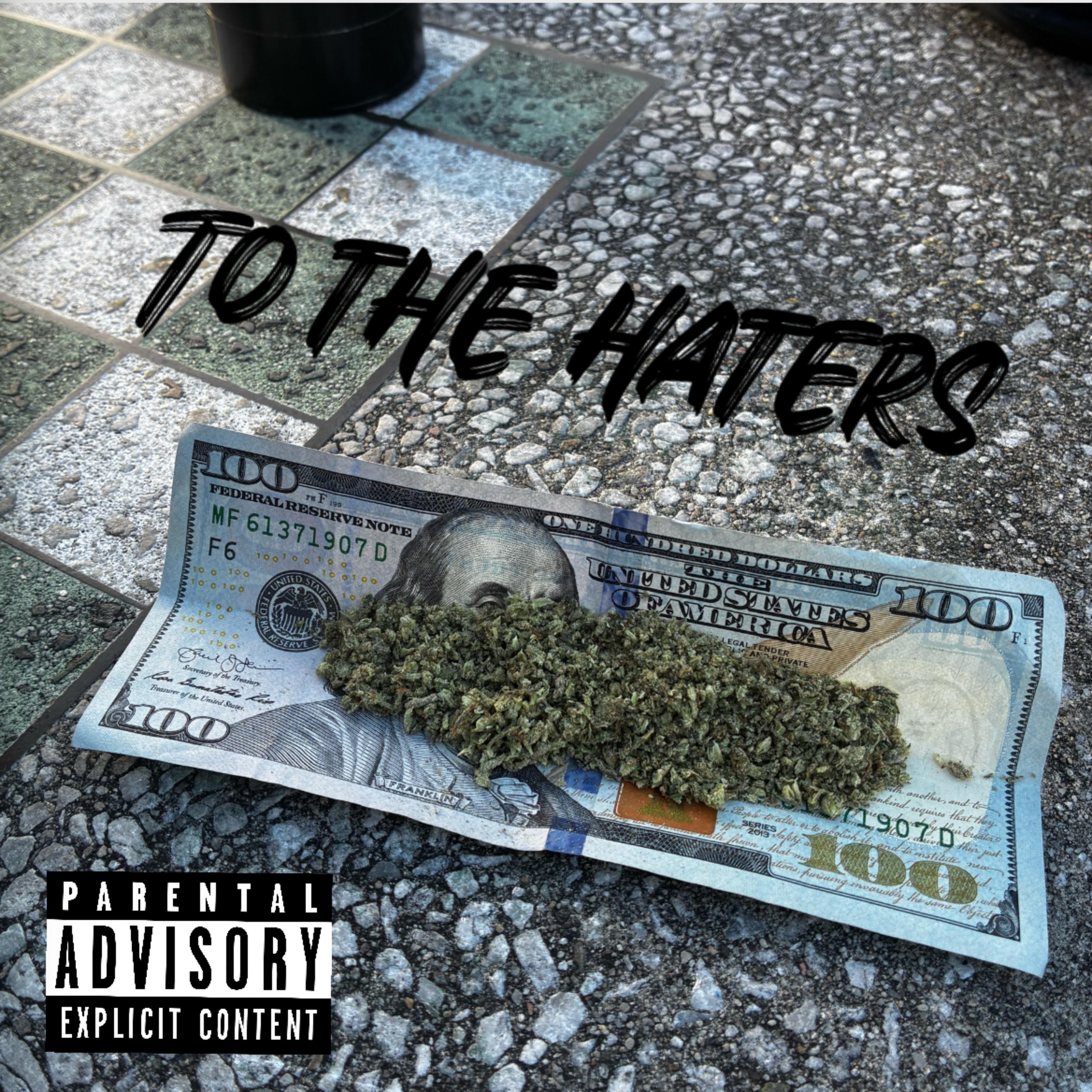 To The Haters artwork