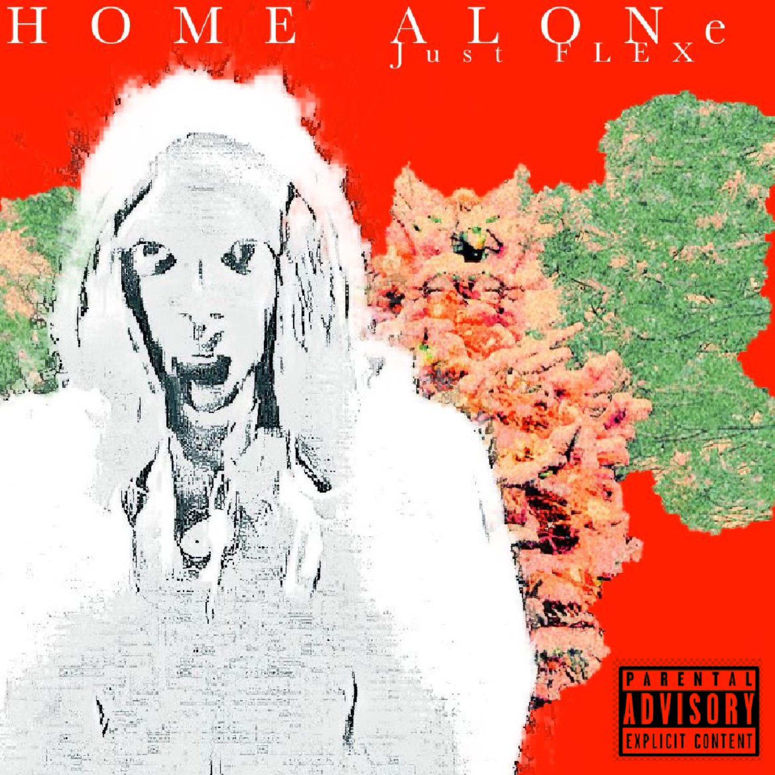 HOME ALONe by Just FLEX cover art