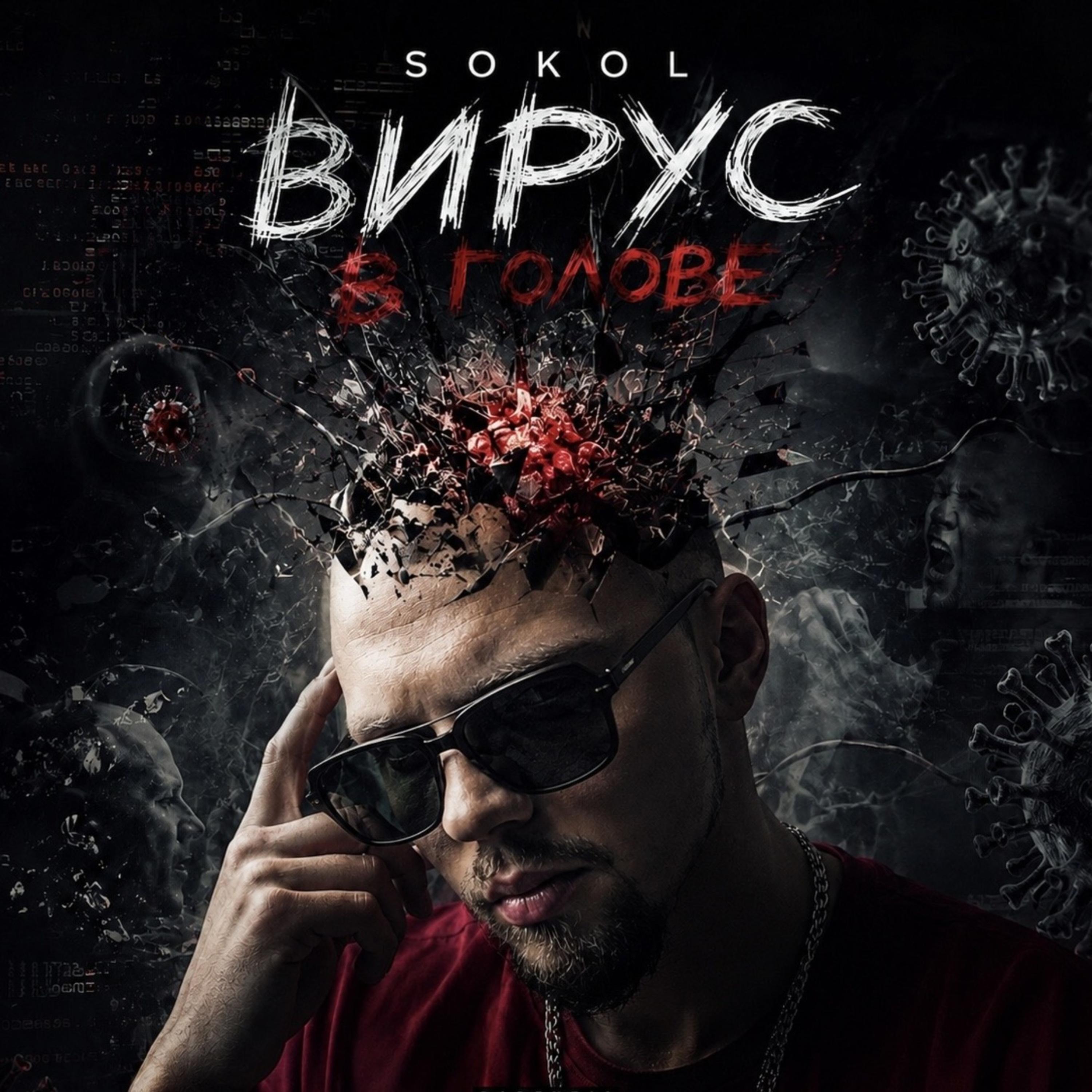 Вирус в голове by Sokol cover art