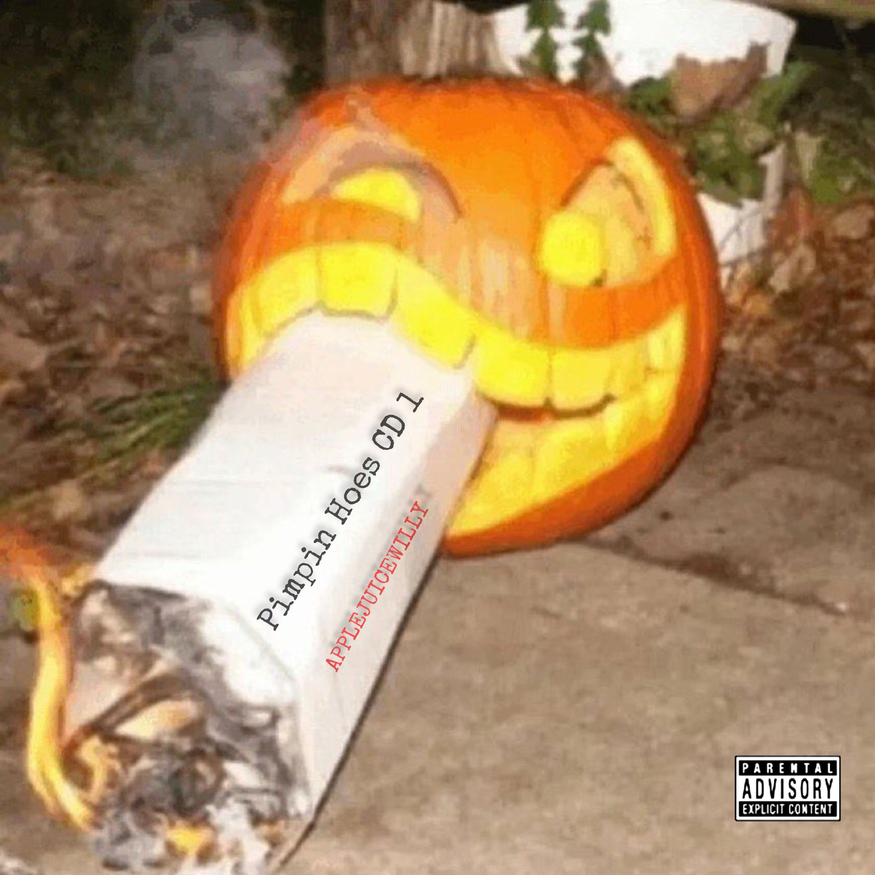 Pimpin Hoes CD 1 artwork