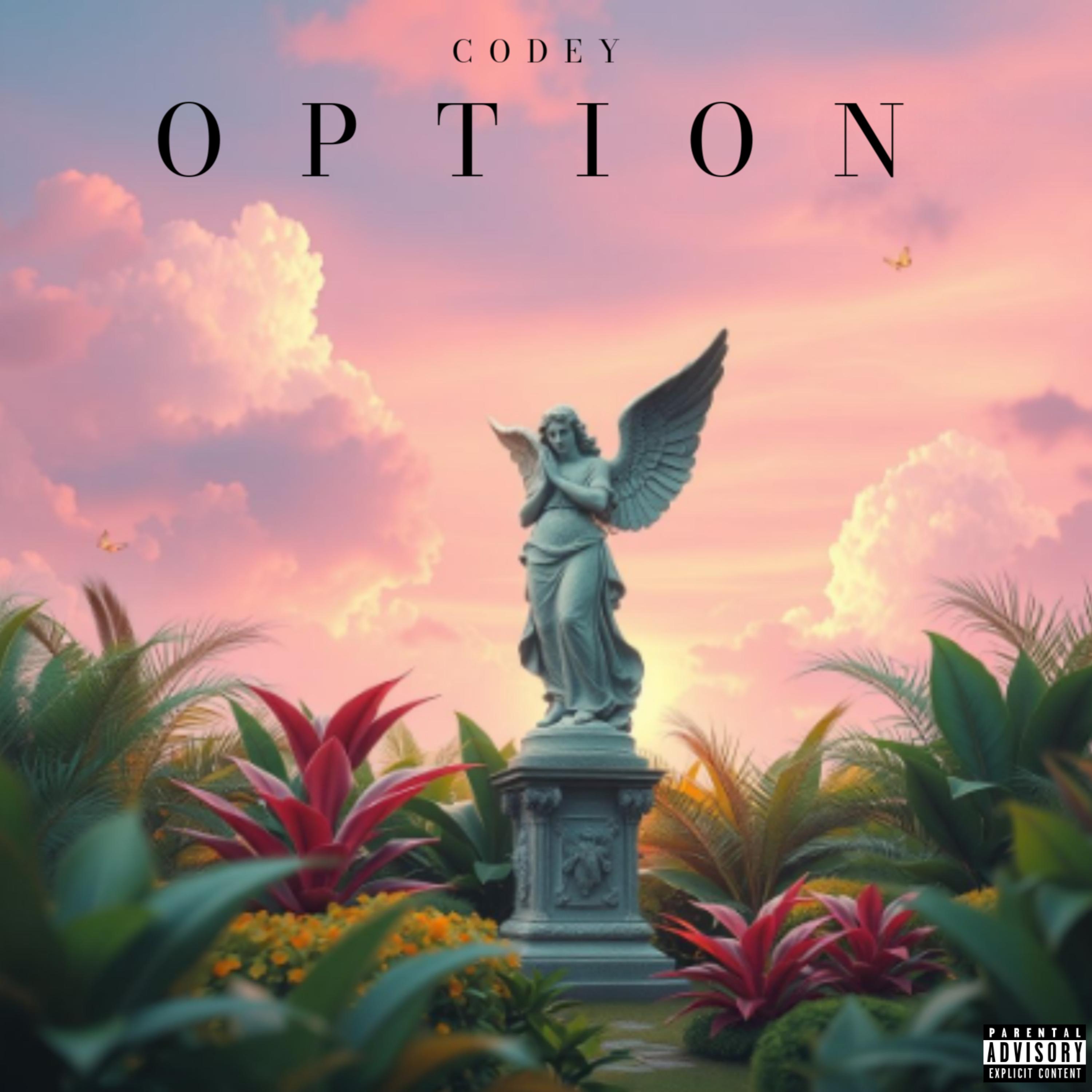 Option artwork