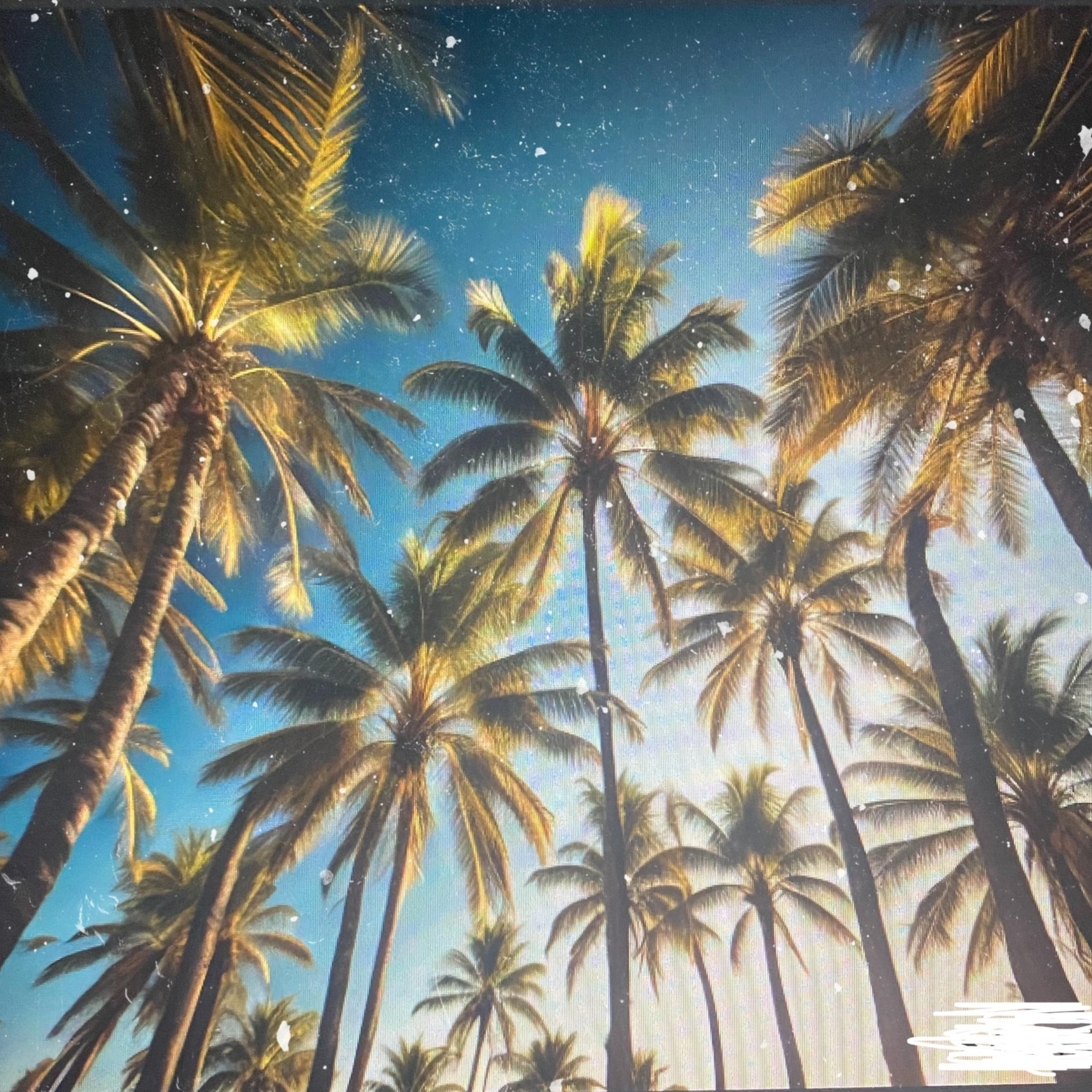 Summers In Miami artwork