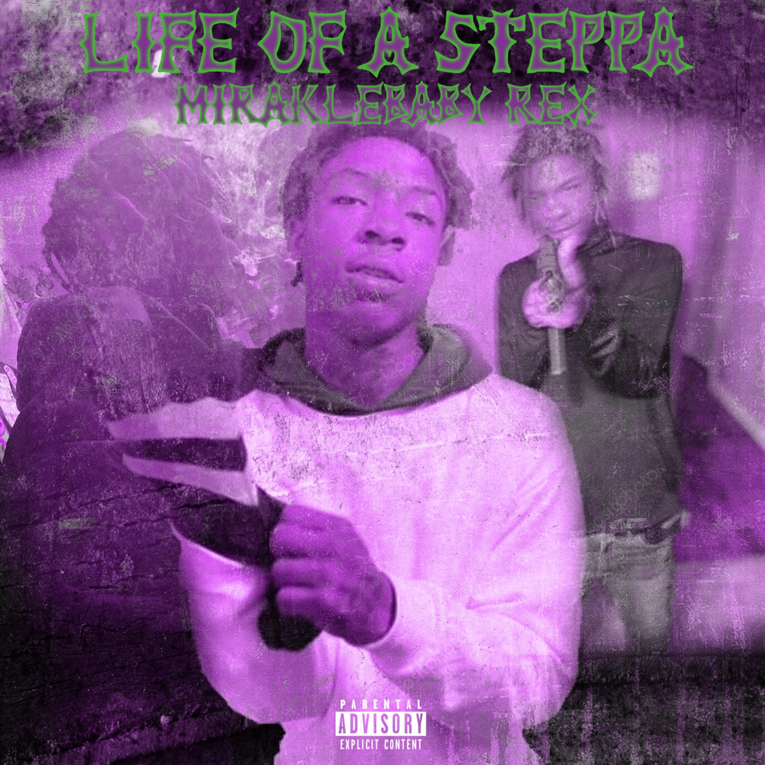 Life Of A Steppa artwork