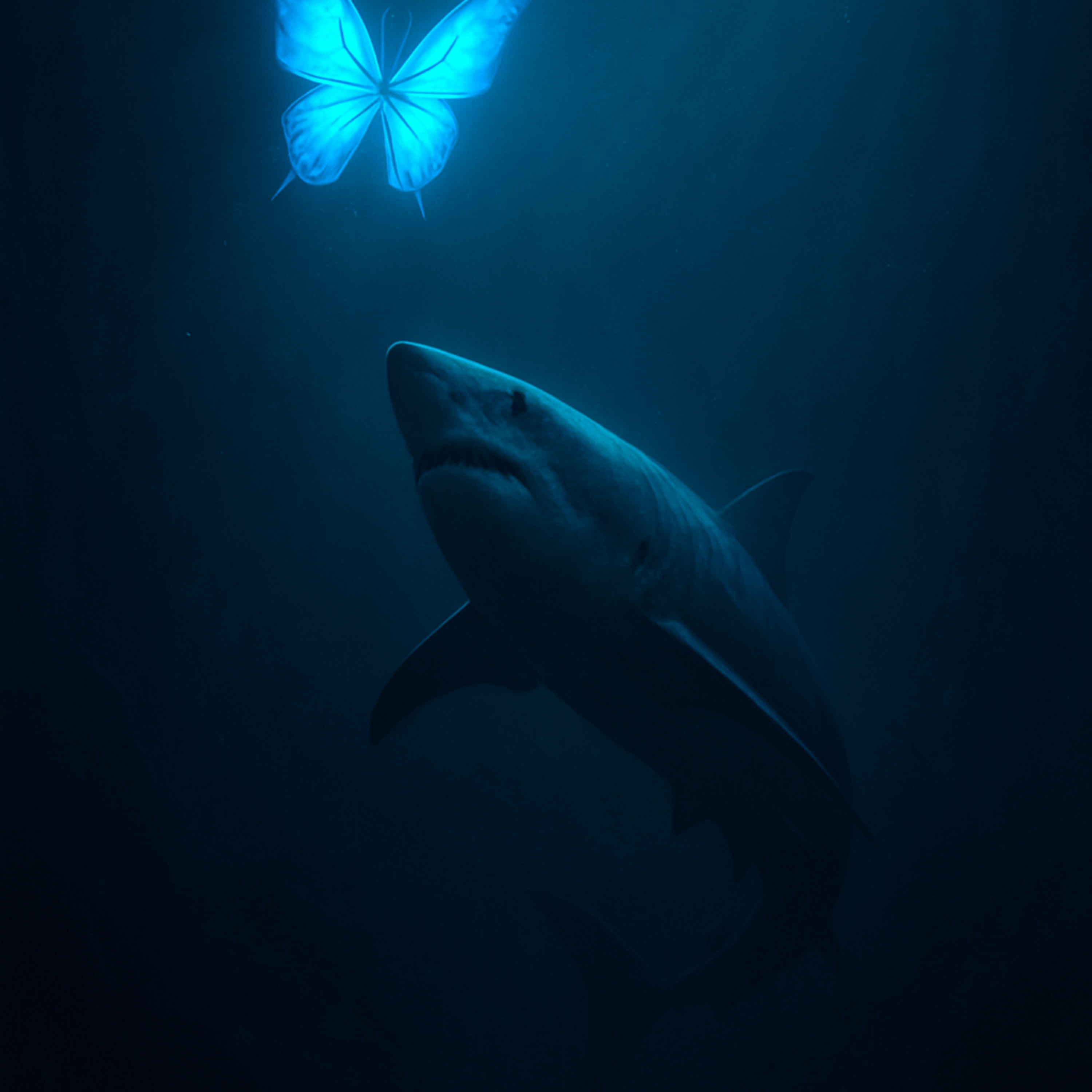 into his blu artwork