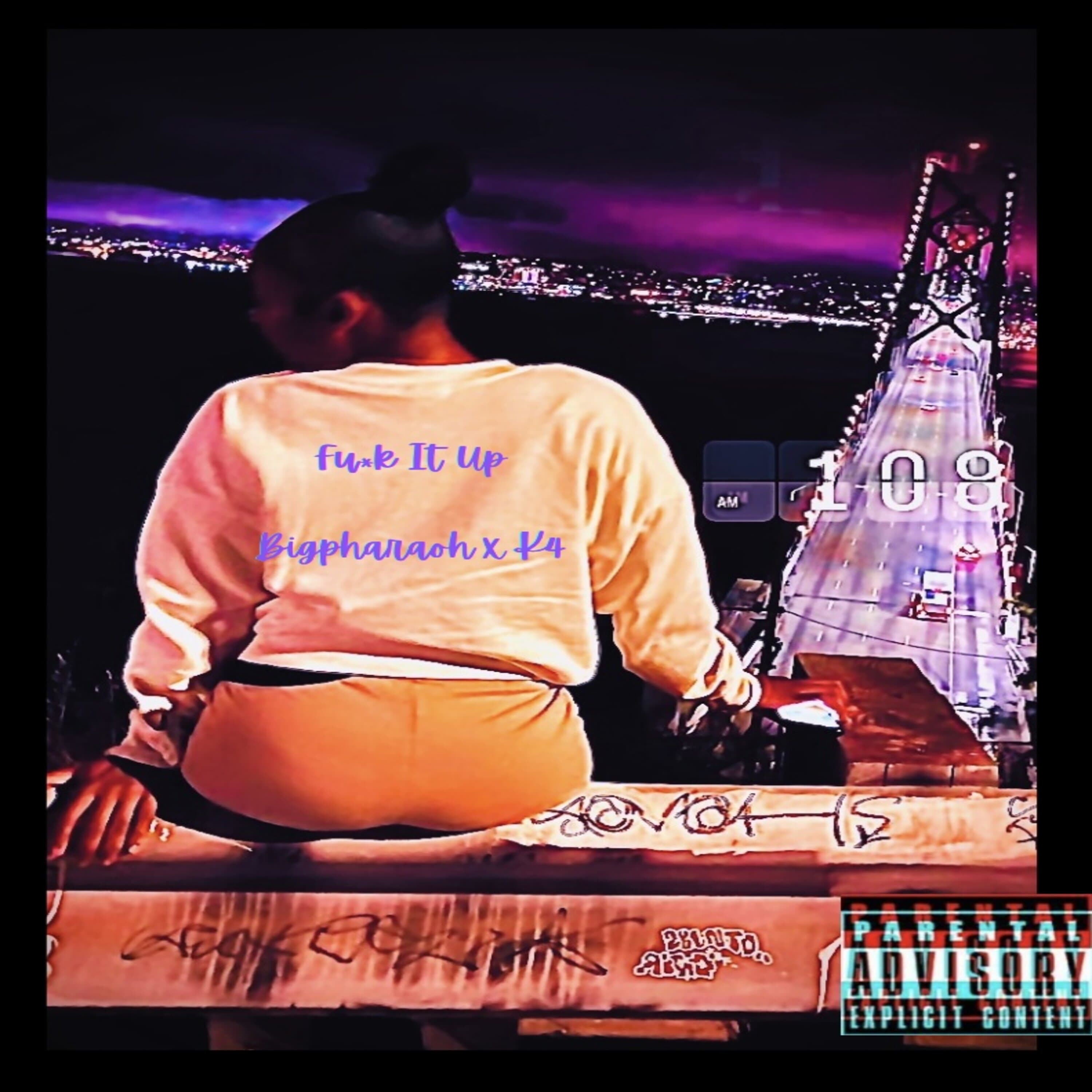 Fuck It Up artwork