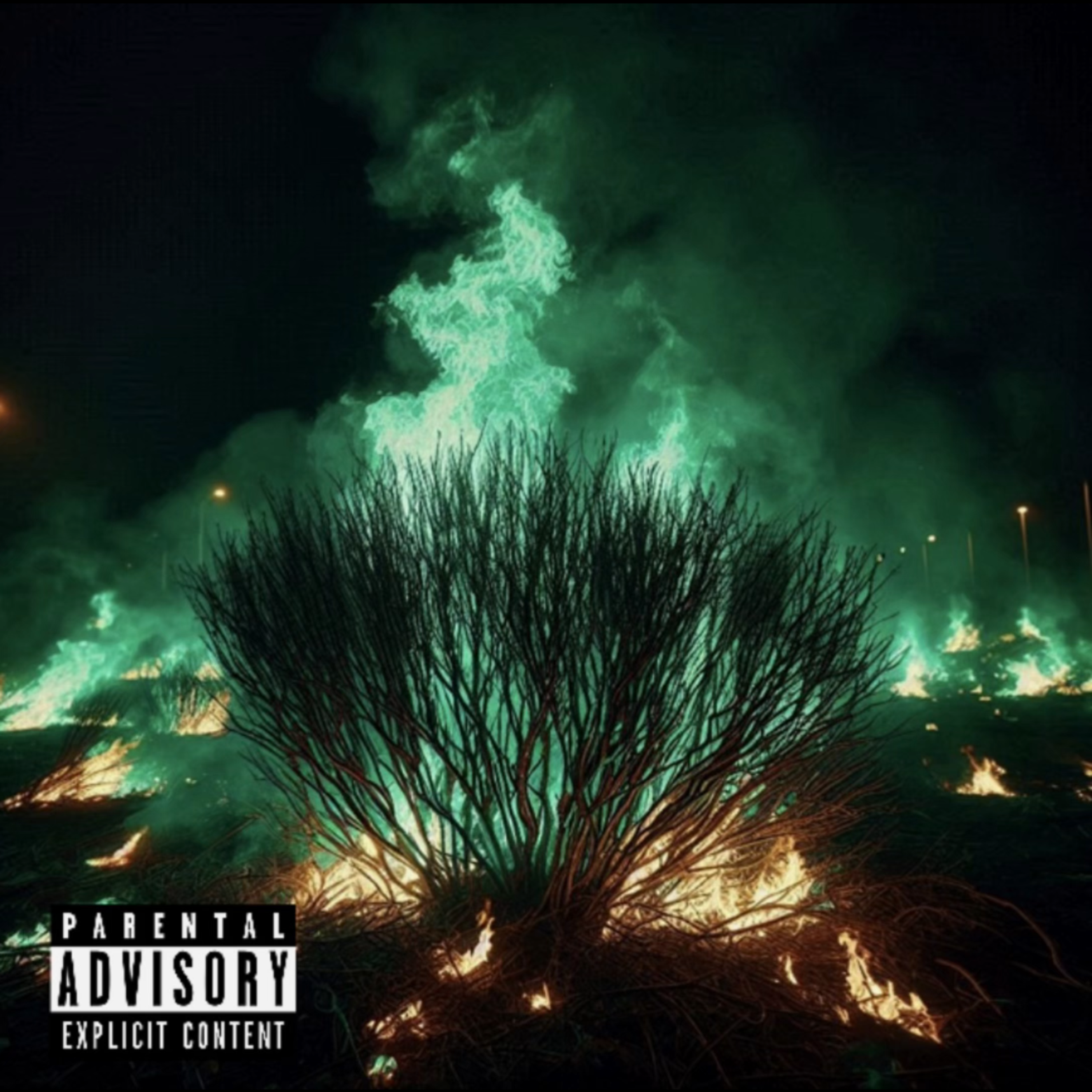 Burning Bushes by chilli cover art