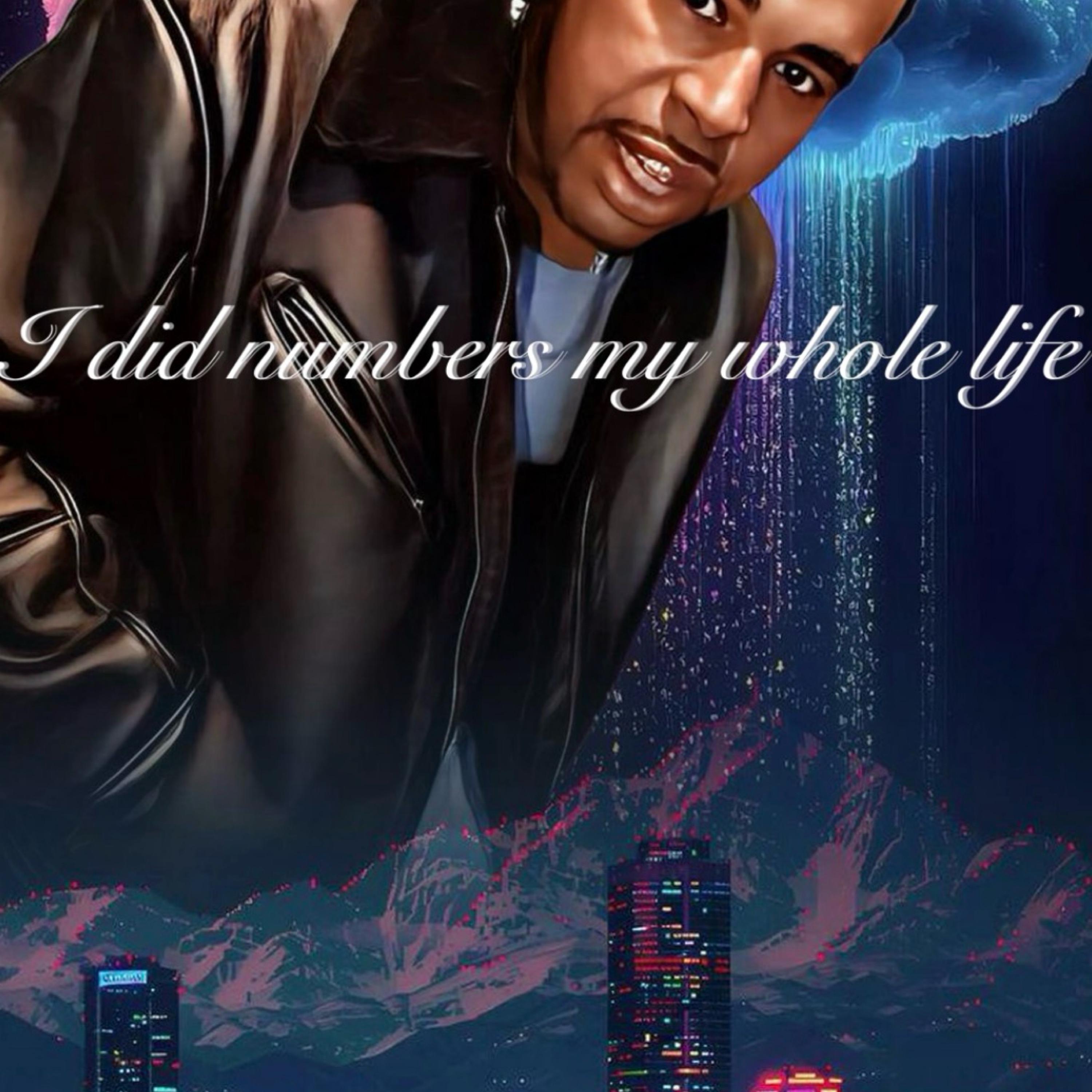 I Did Numbers My Whole Life artwork