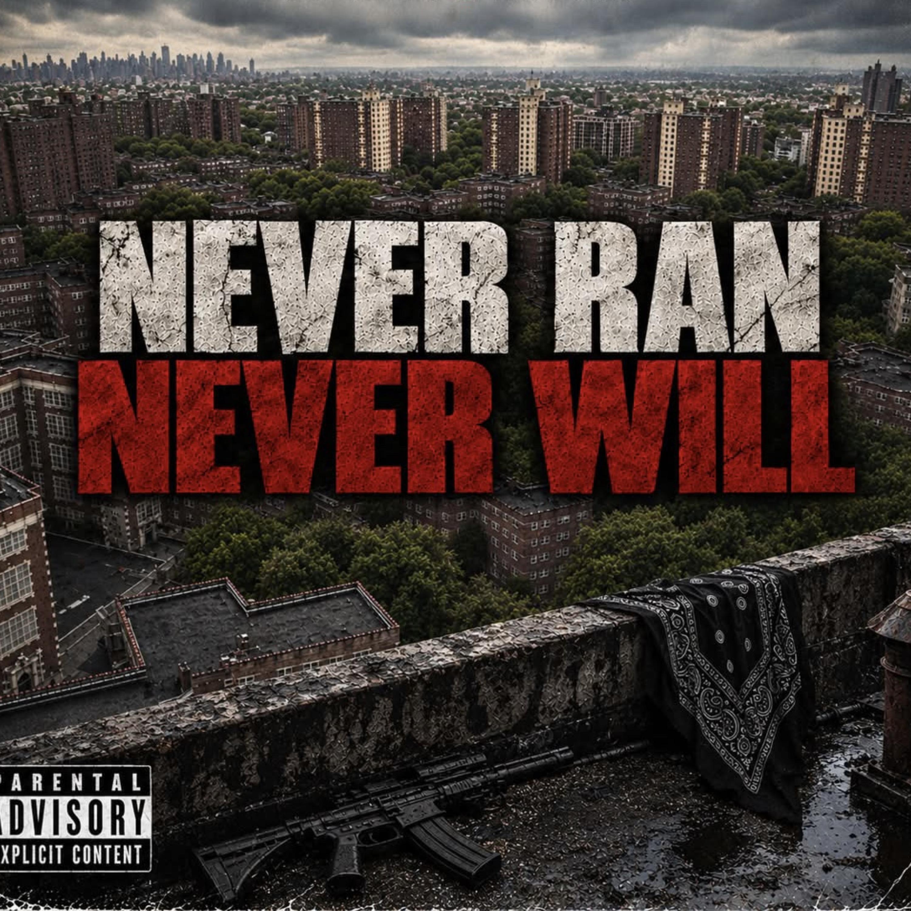 Never Ran Never Will by Envy Spark cover art
