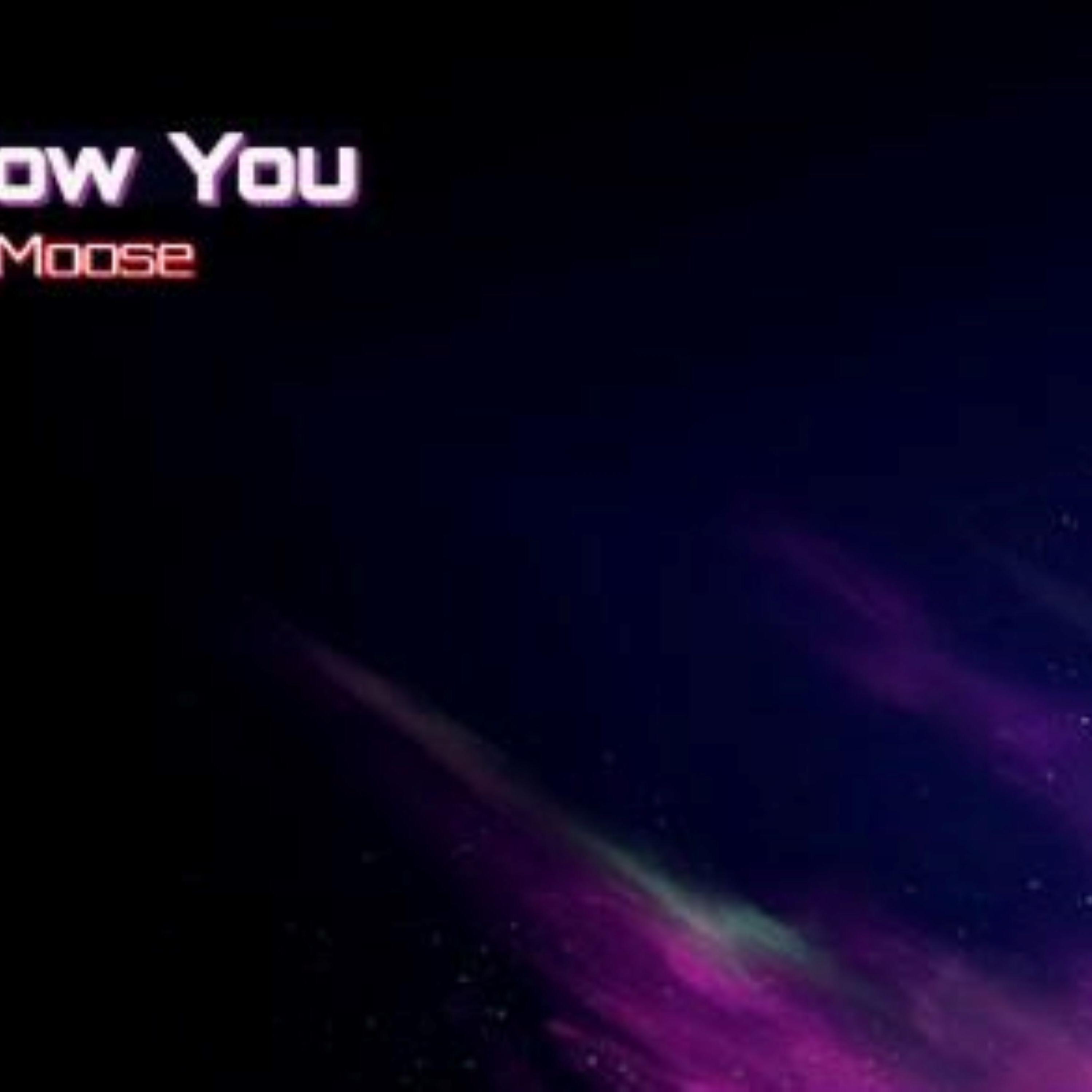 I'll Follow You artwork