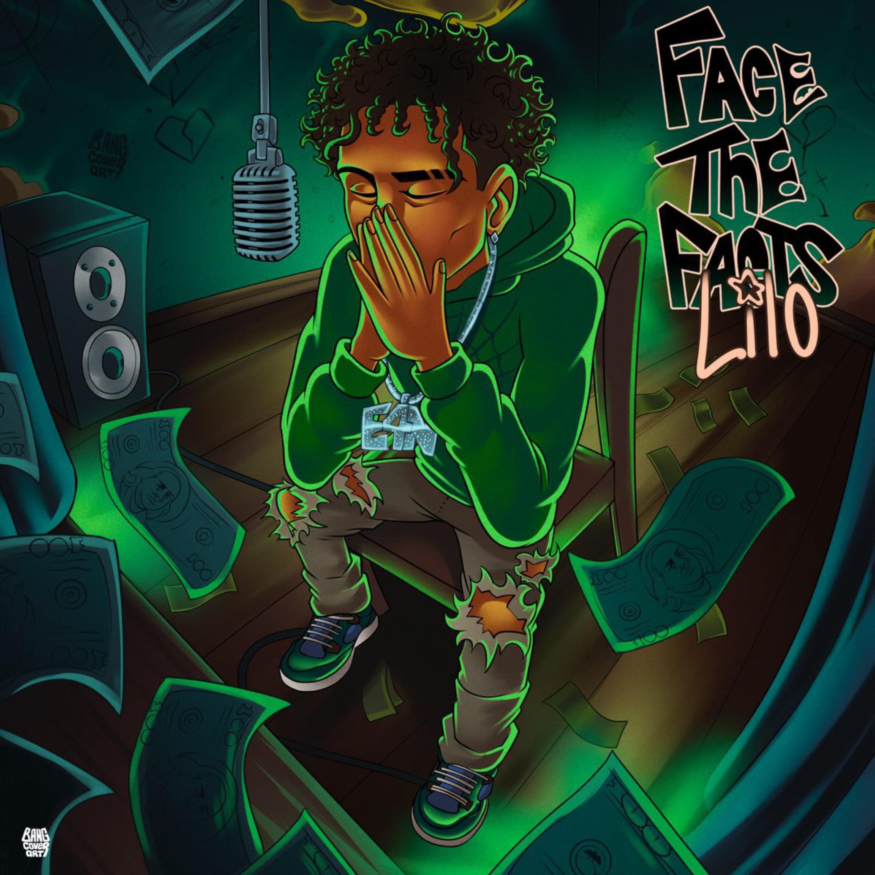 Face The Facts artwork
