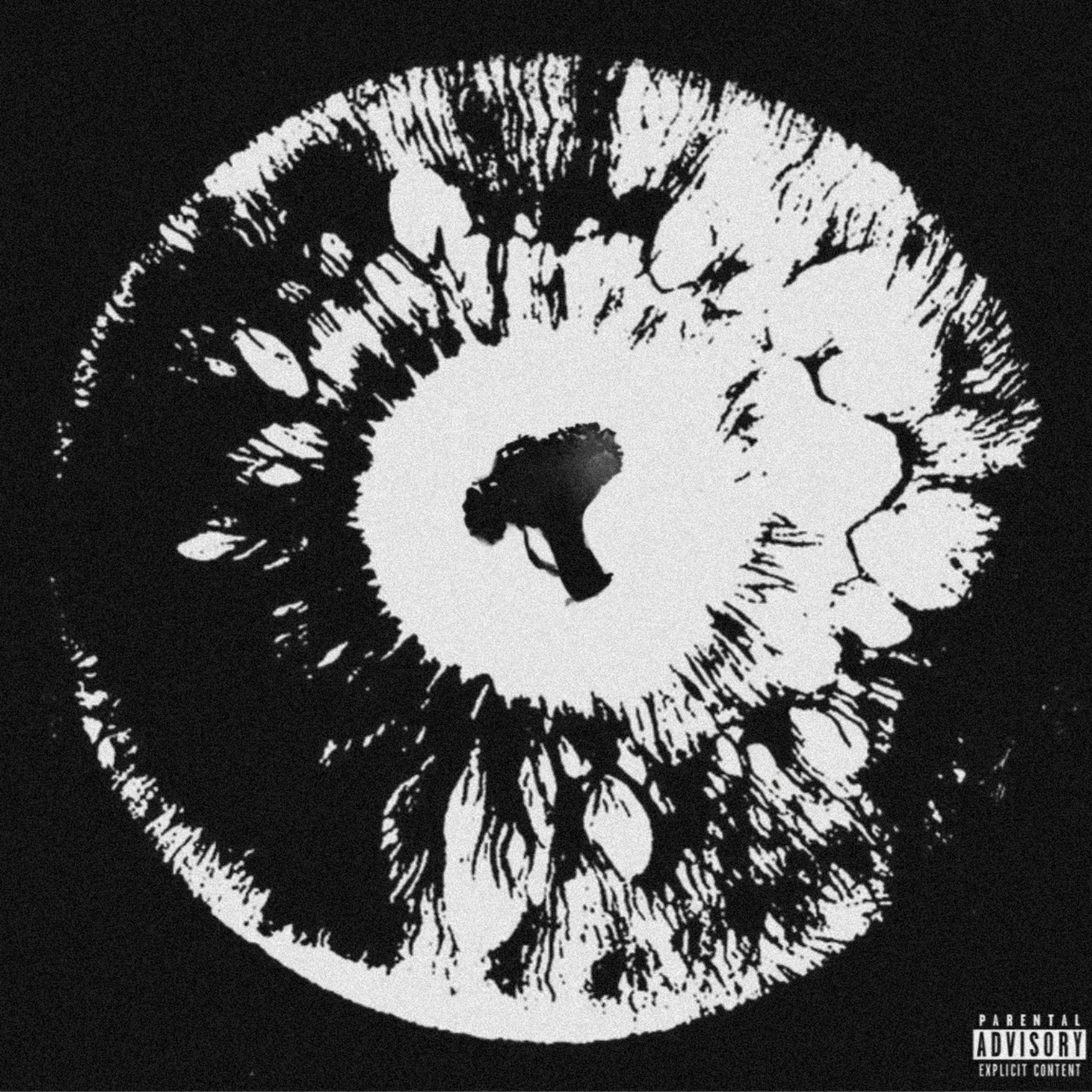 broccolis void artwork