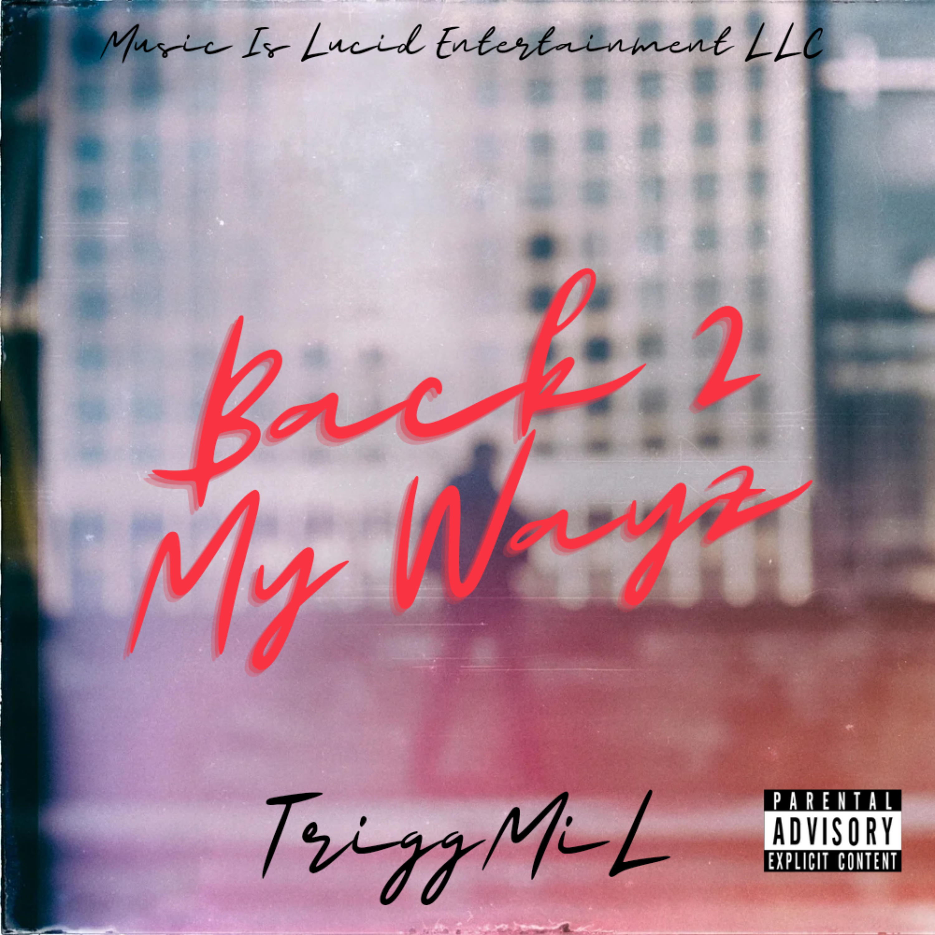 Back 2 My Wayz by Wat It Dew Boyz cover art