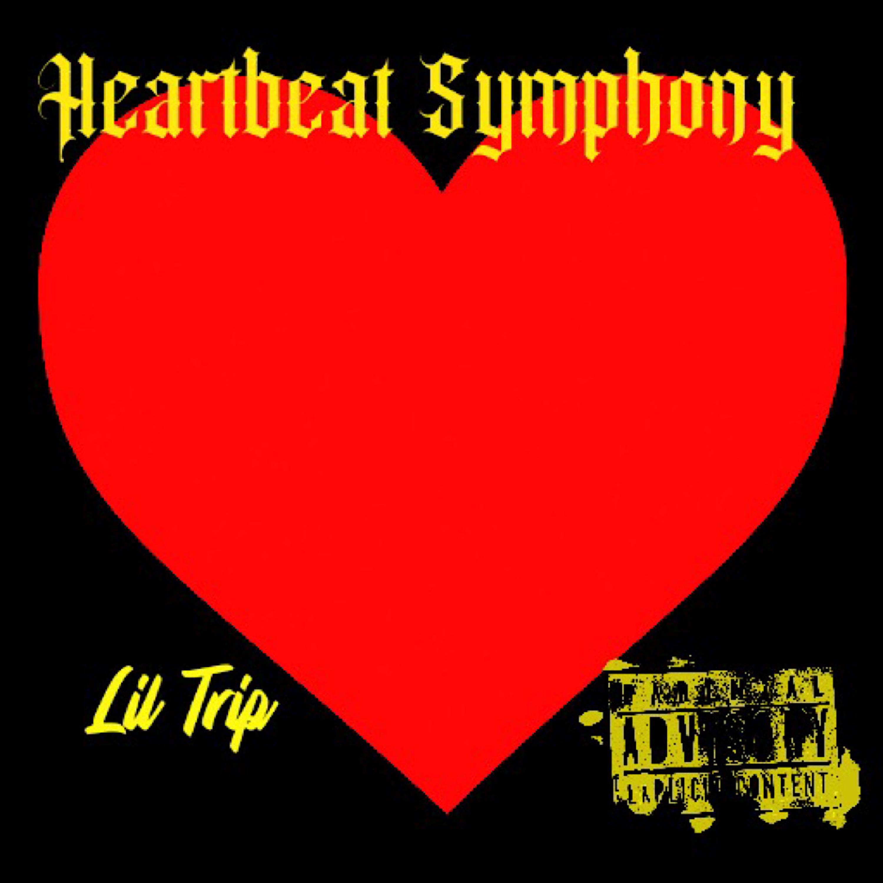 Heartbeat Symphony artwork