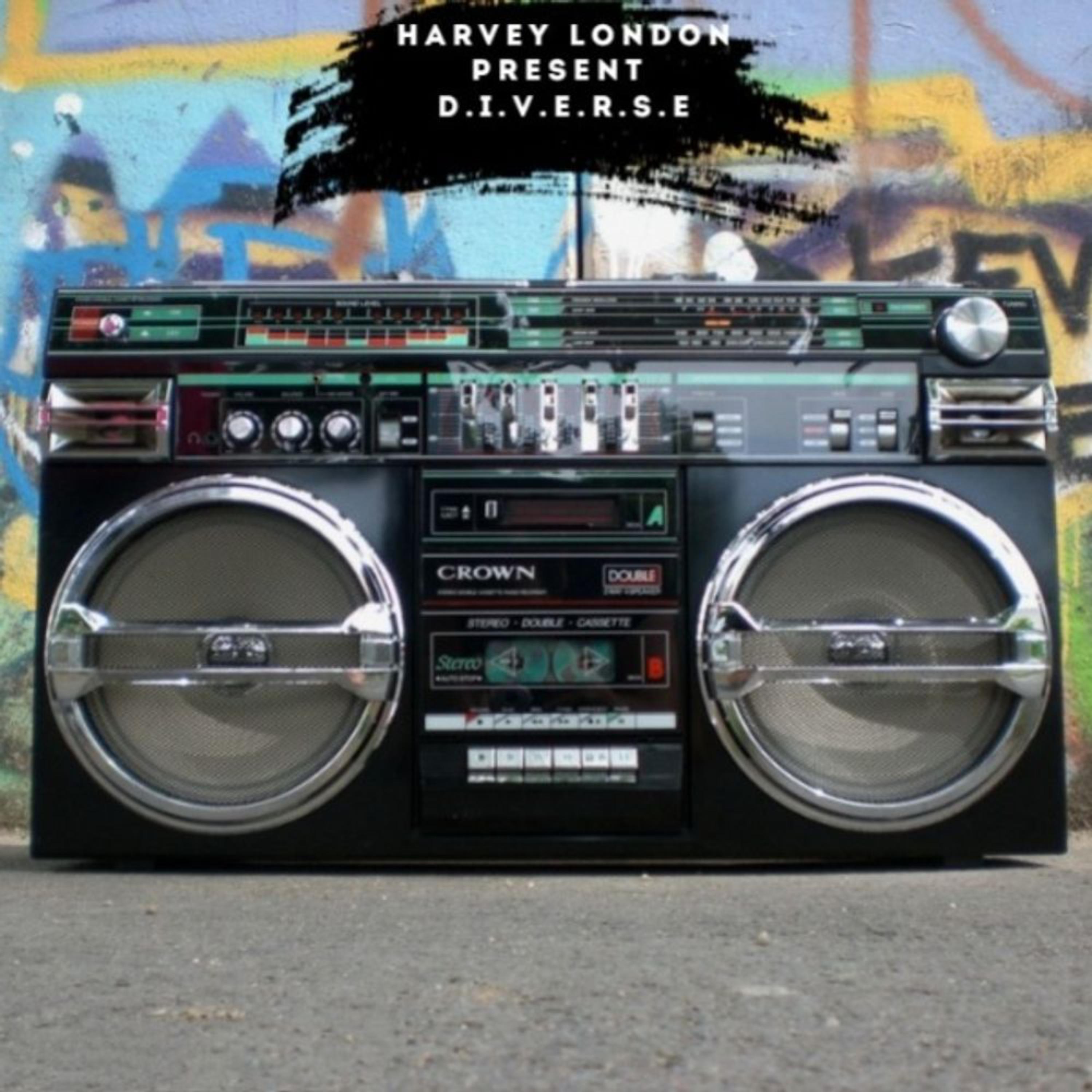 D.I.V.E.R.S.E artwork