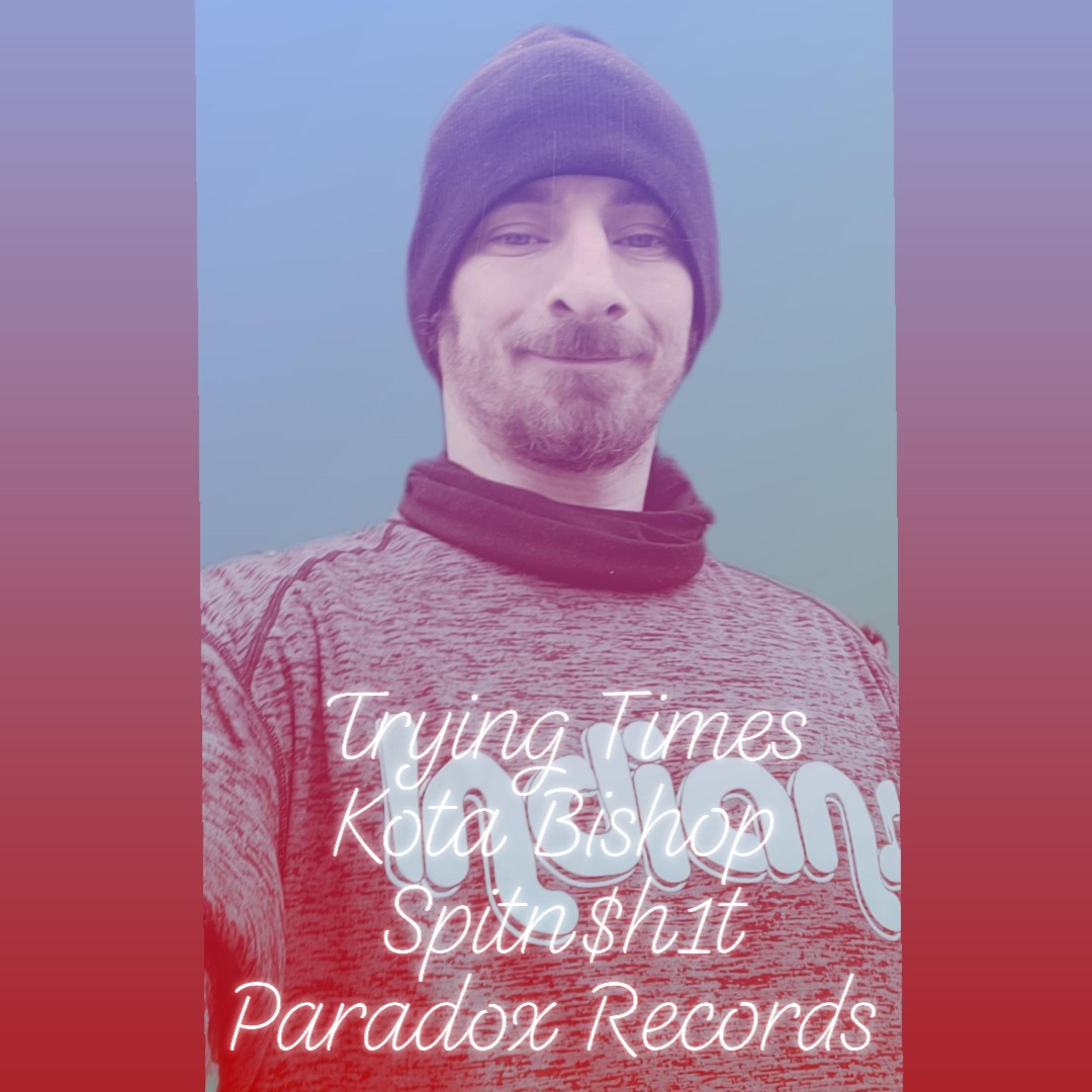 Trying Times  by Dakota Bishop cover art