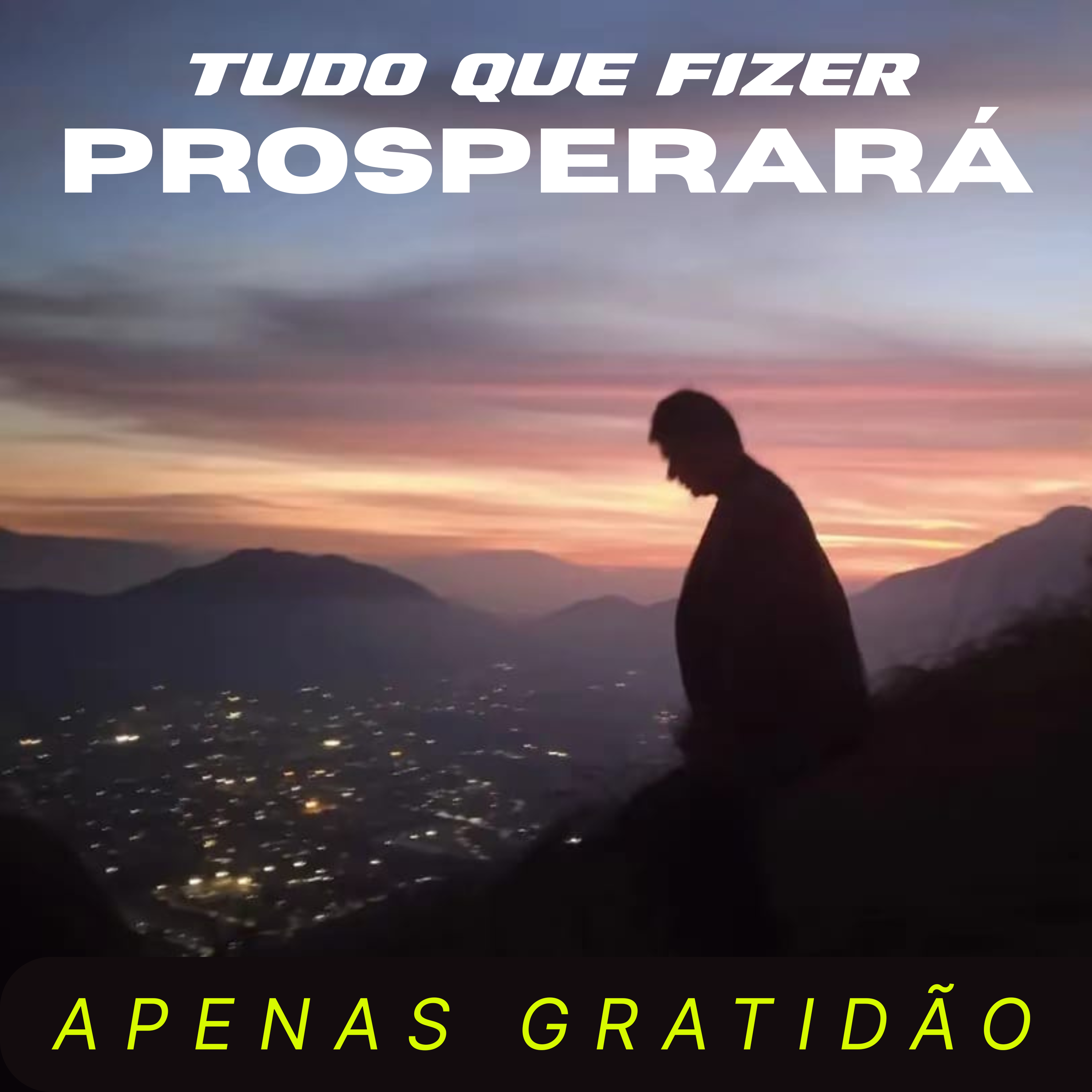TUDO O QUE FIZER PROSPERARÁ artwork