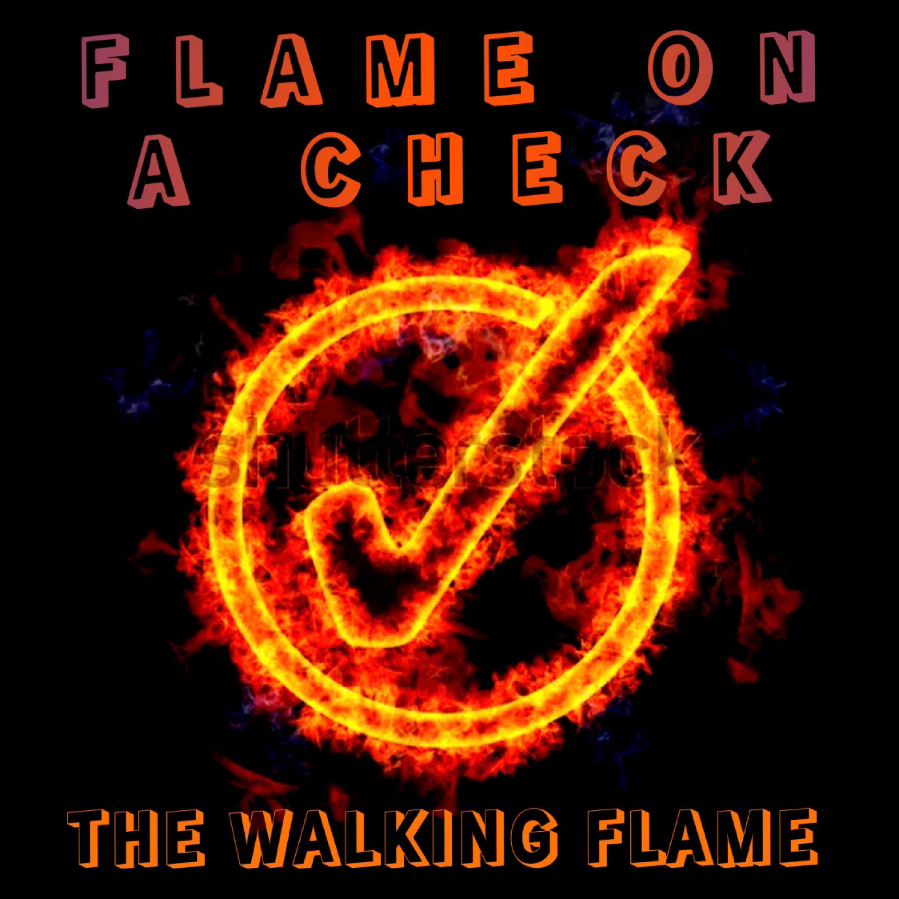 Flame On A Check artwork