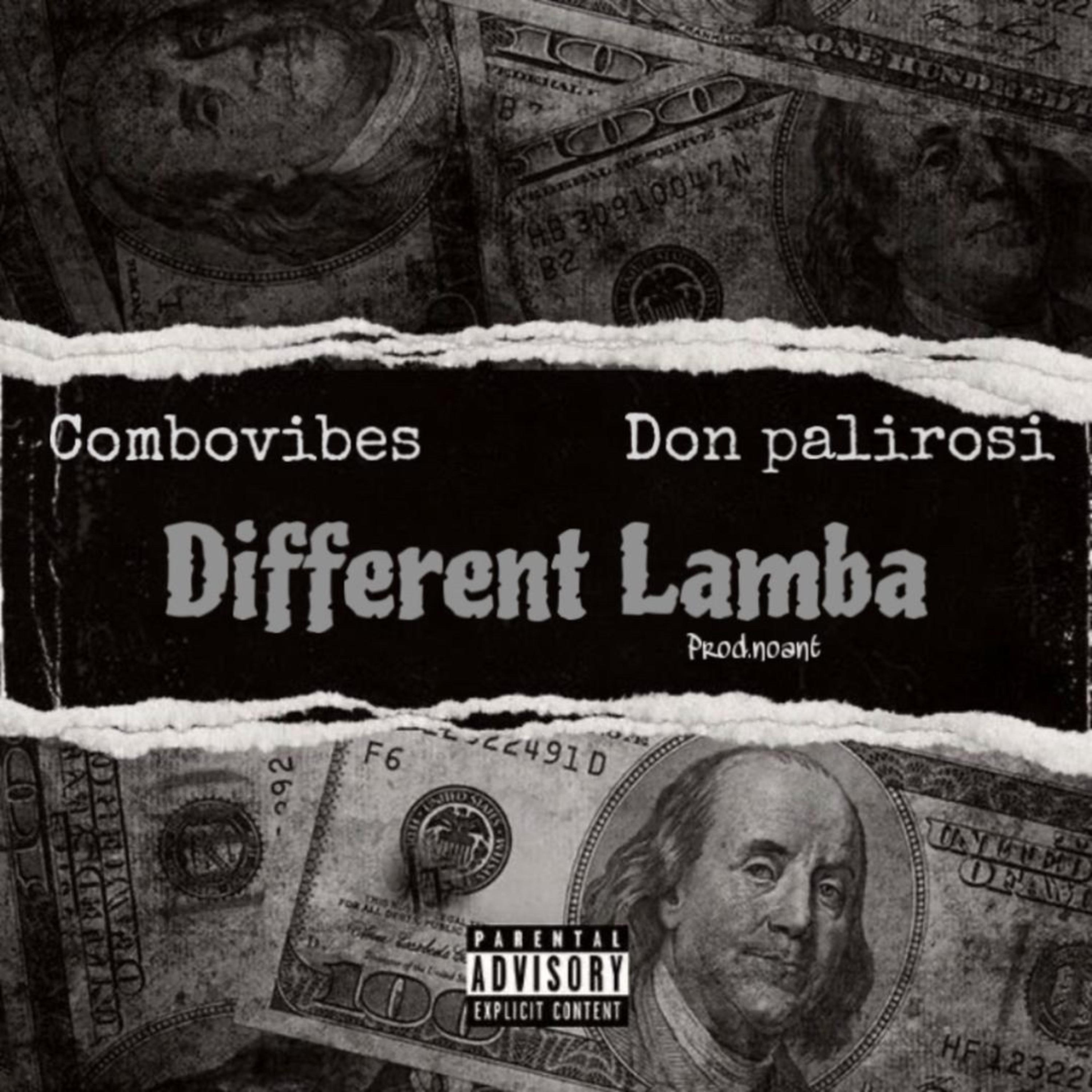 DIFFERENT LAMBA artwork
