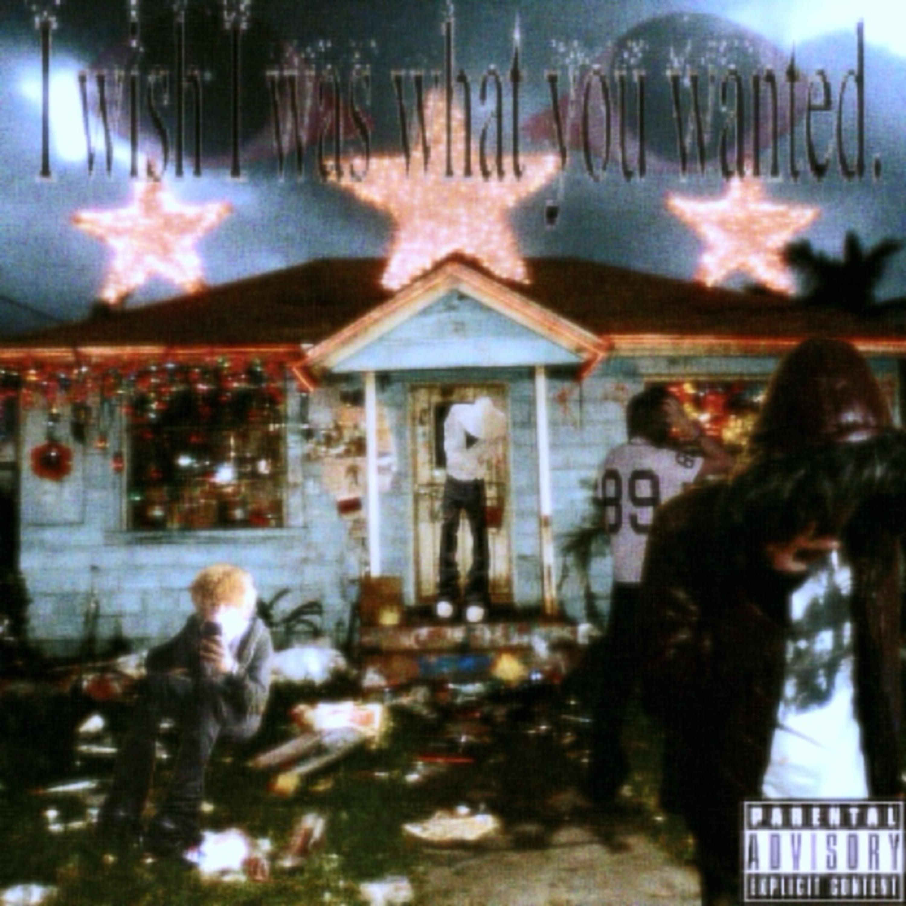 I Wish I Was What You Wanted artwork