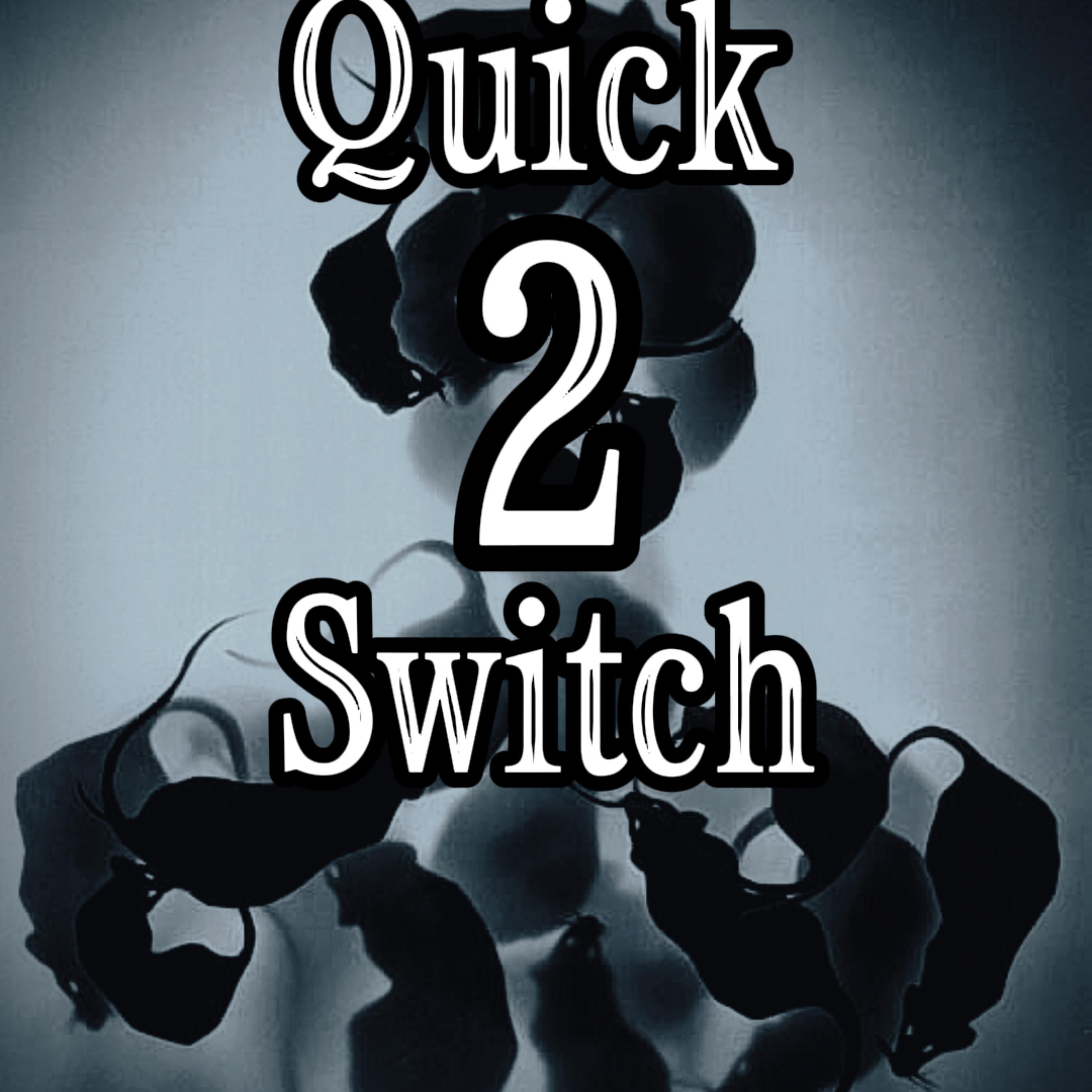 Quick 2 Switch artwork