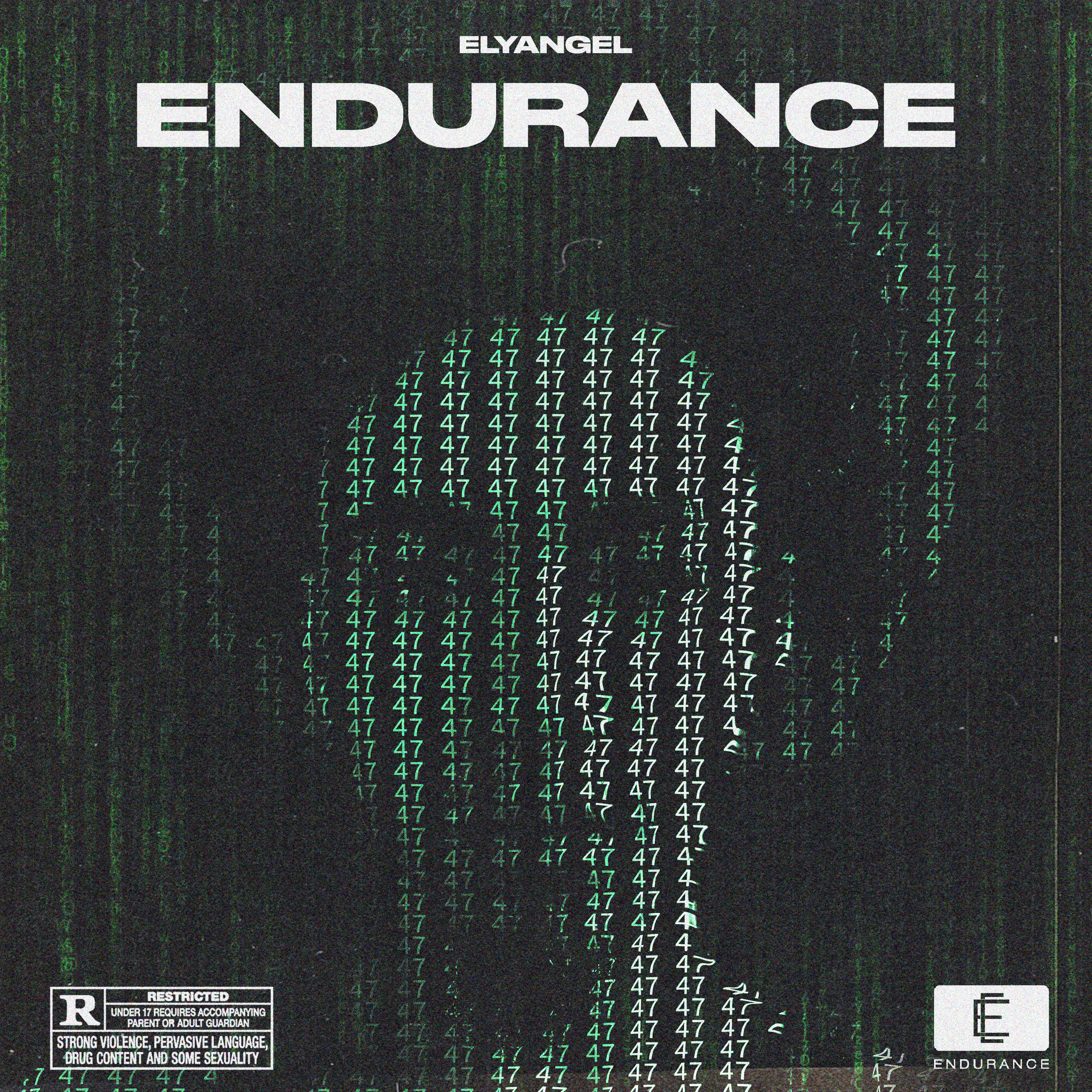 Endurance artwork