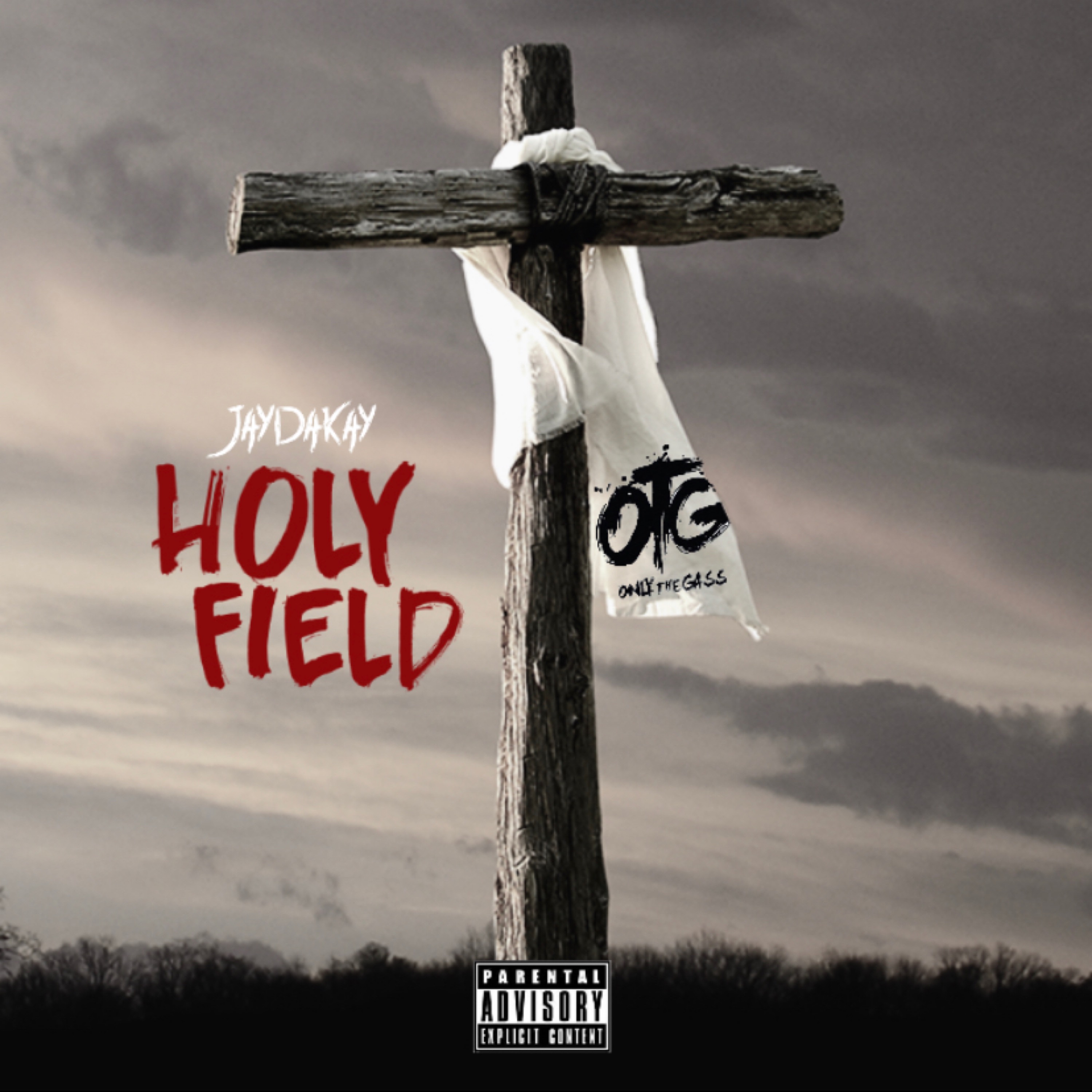 Holy Field artwork