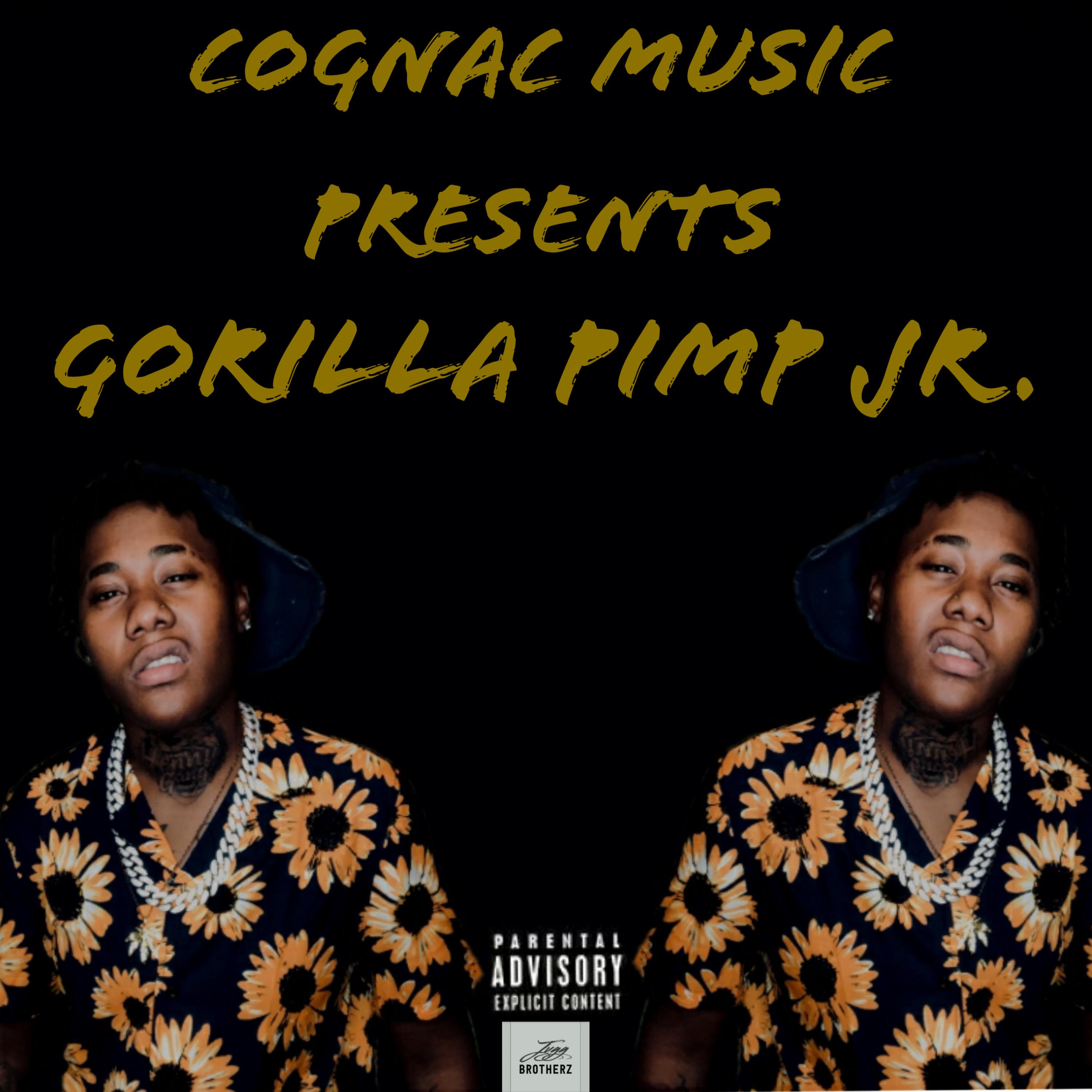 Gorilla Pimp Jr. artwork