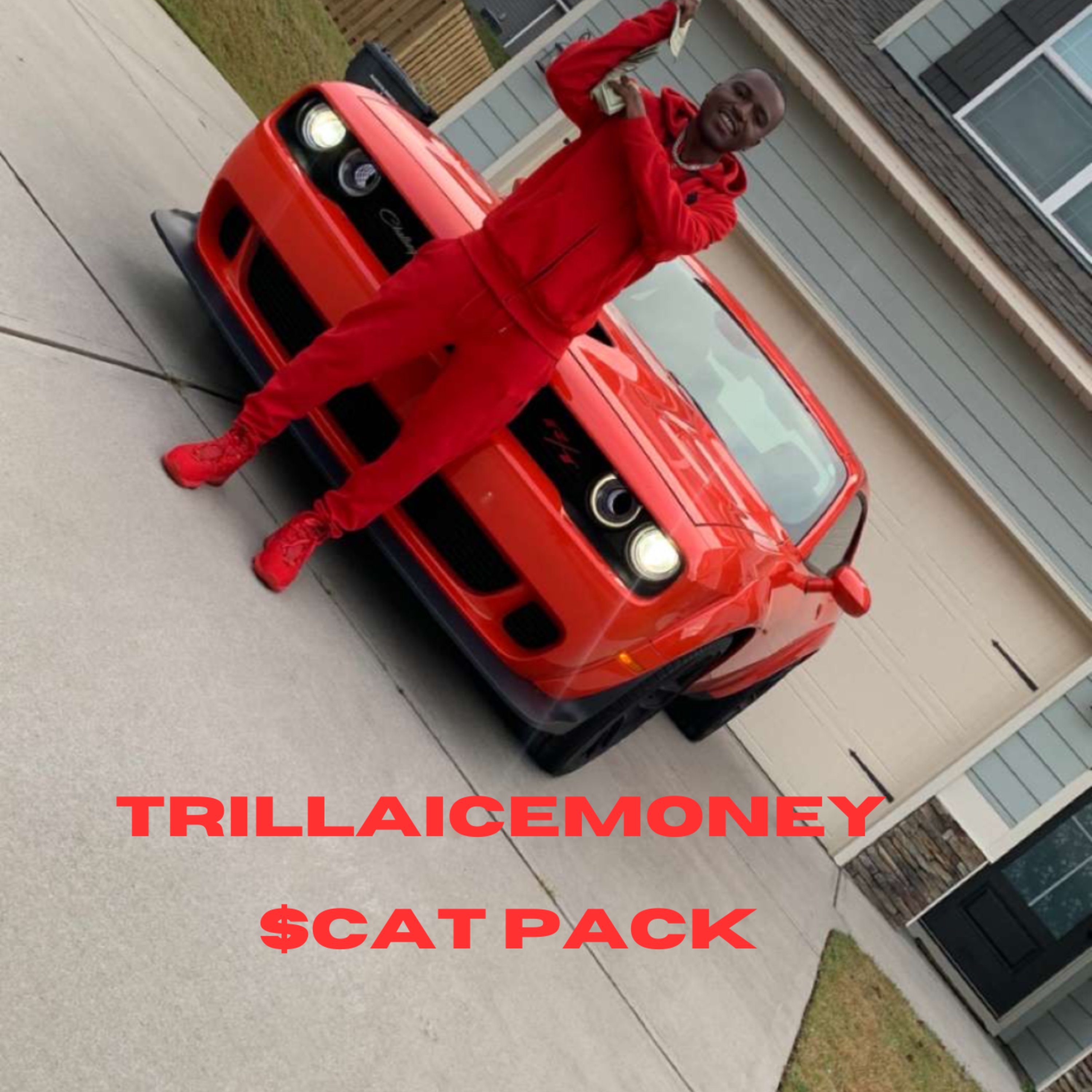 $cat Pack artwork