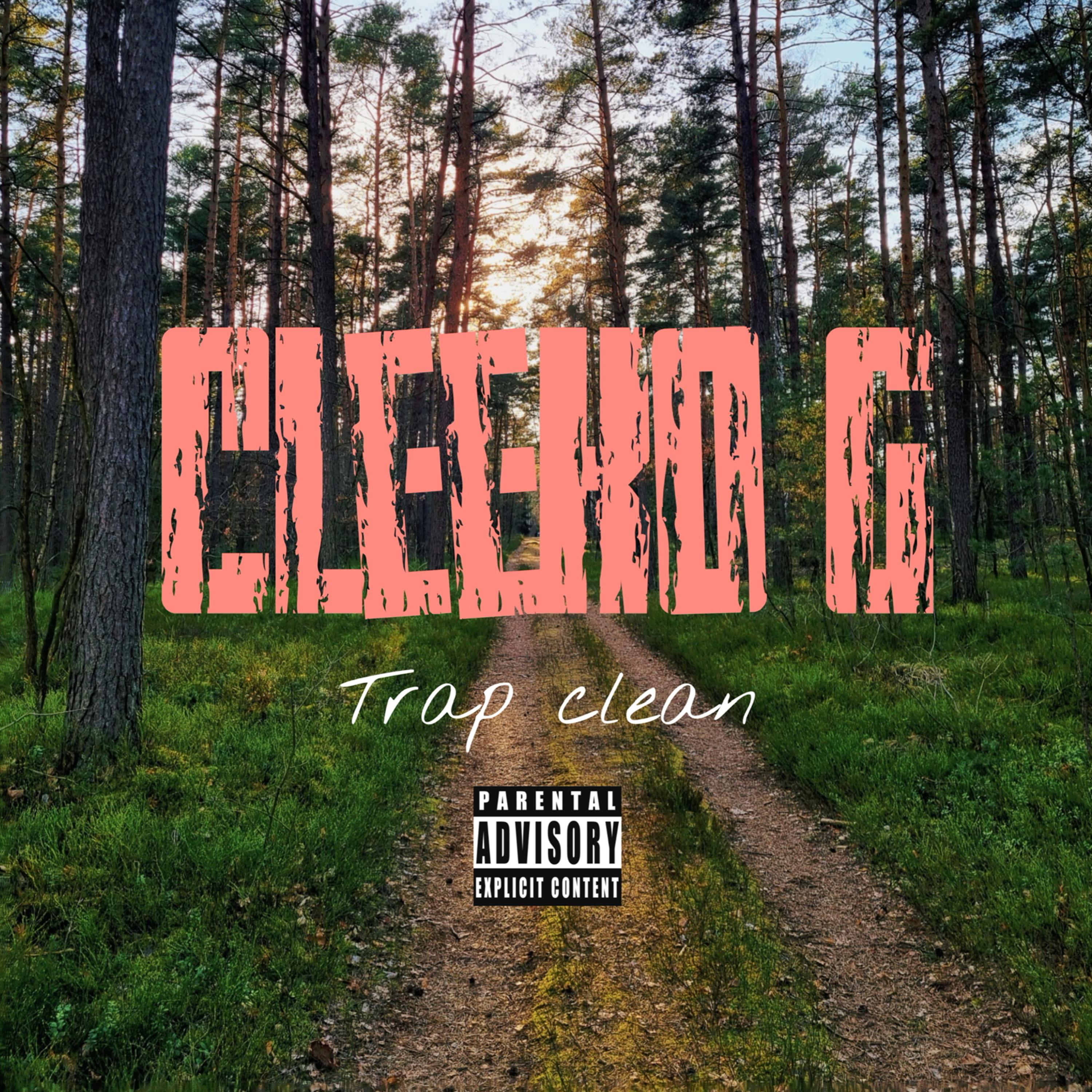 Trap Clean artwork