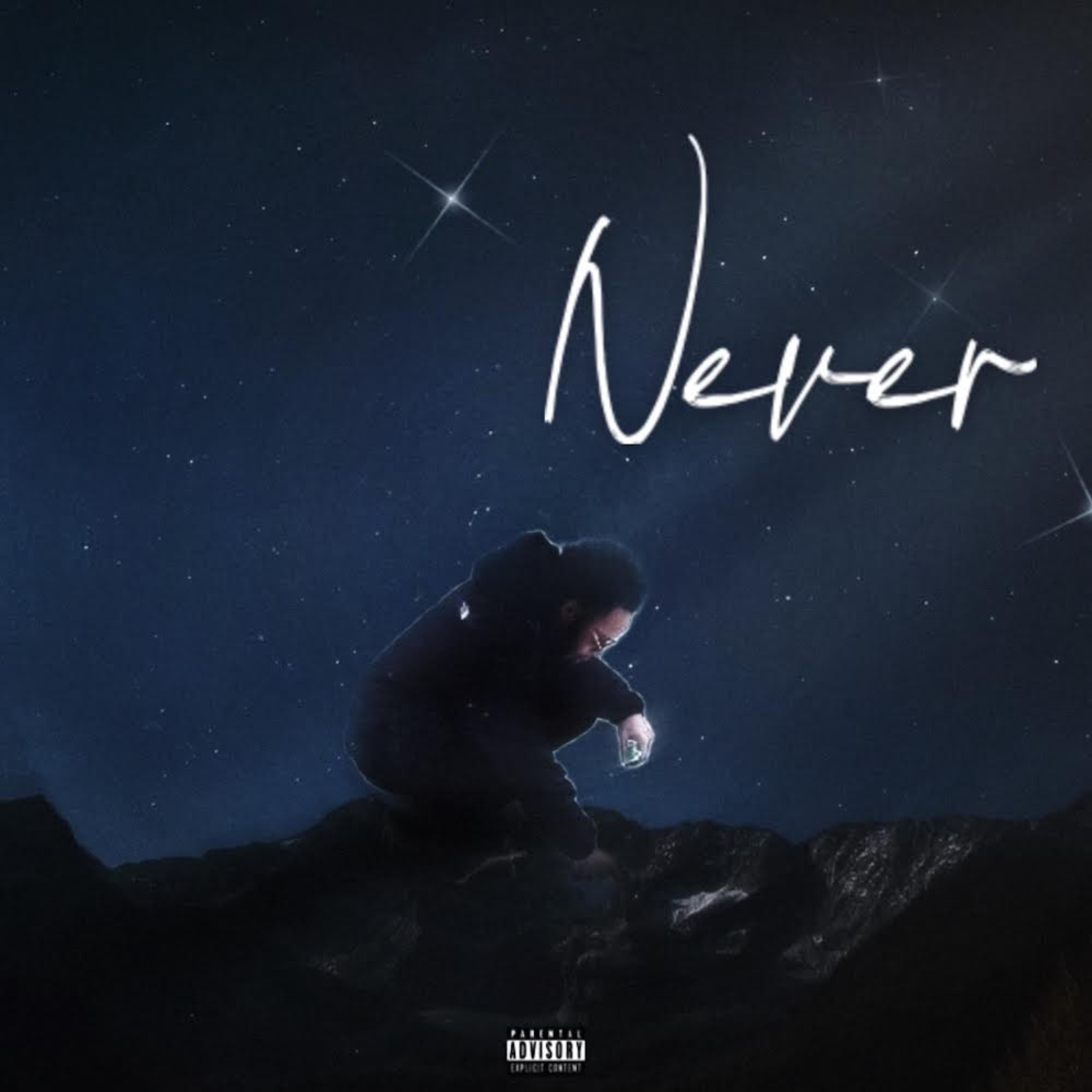 Never artwork
