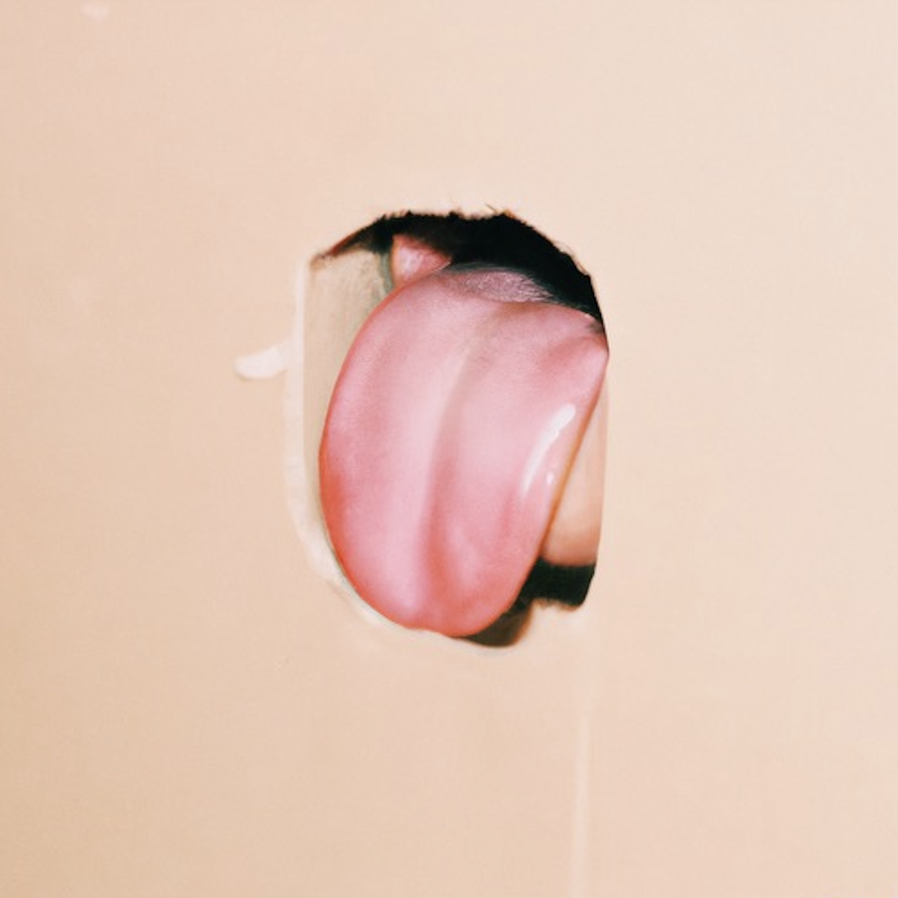 SOMETHING2TASTE artwork