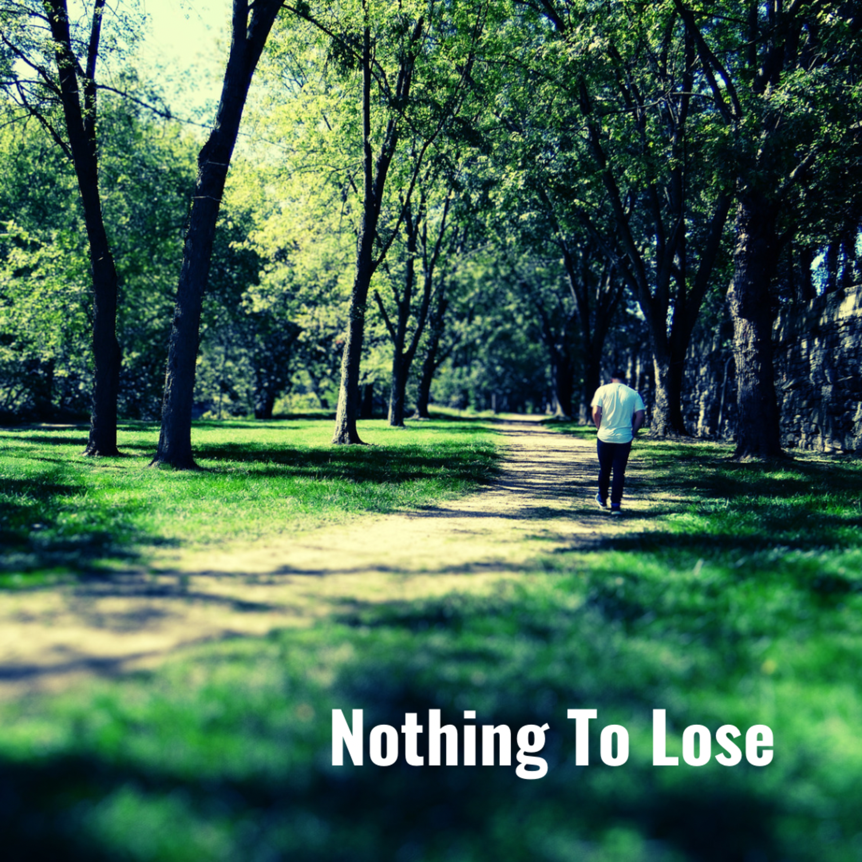 Nothing To Lose artwork