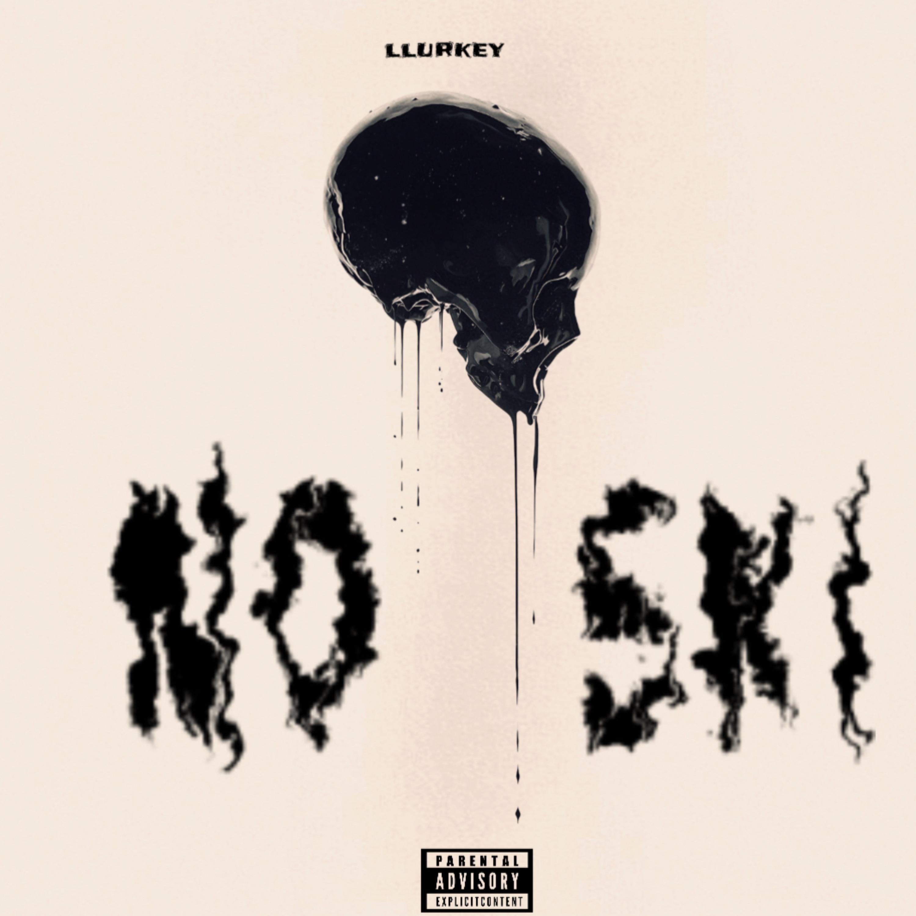 No ski artwork