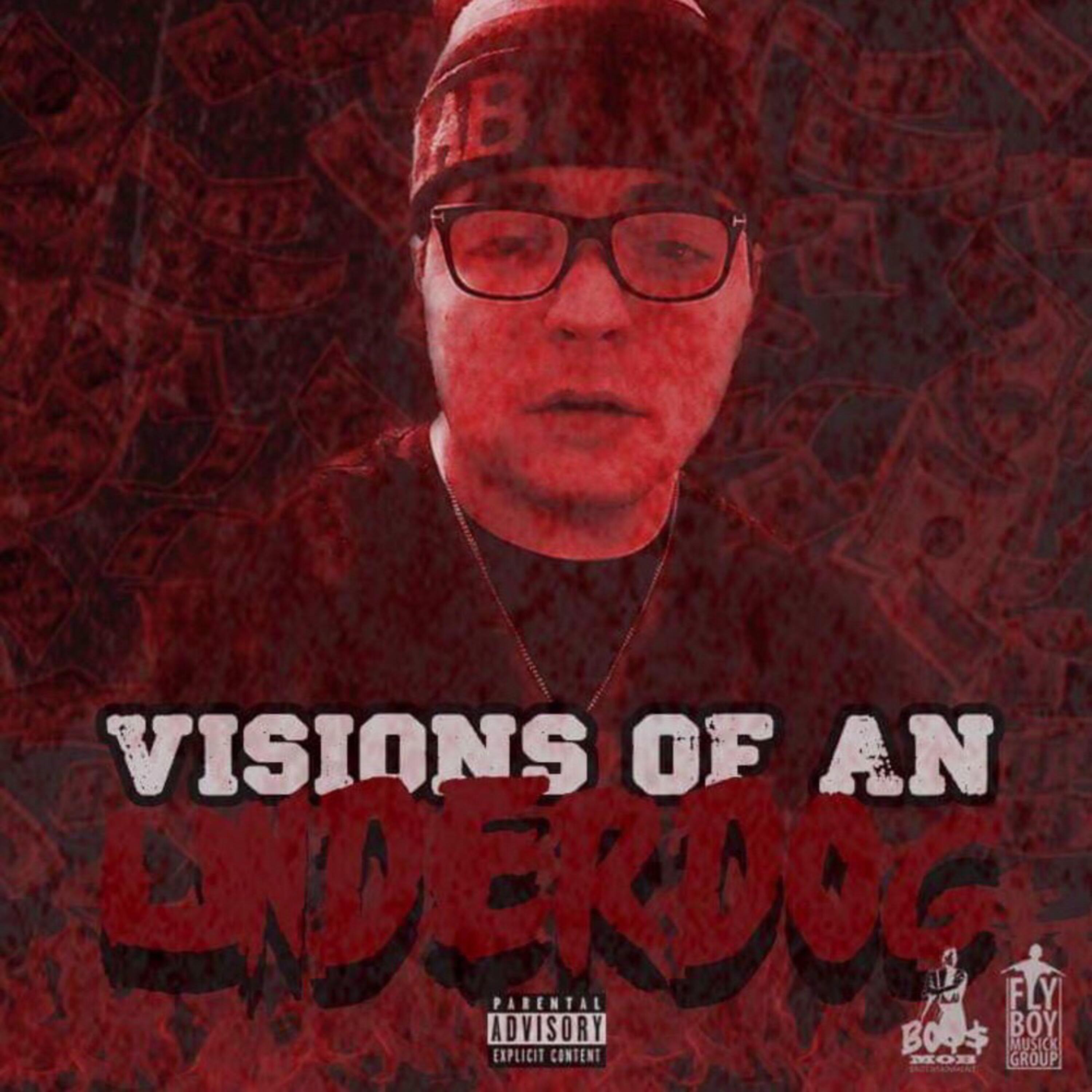 Visions Of A Underdog artwork